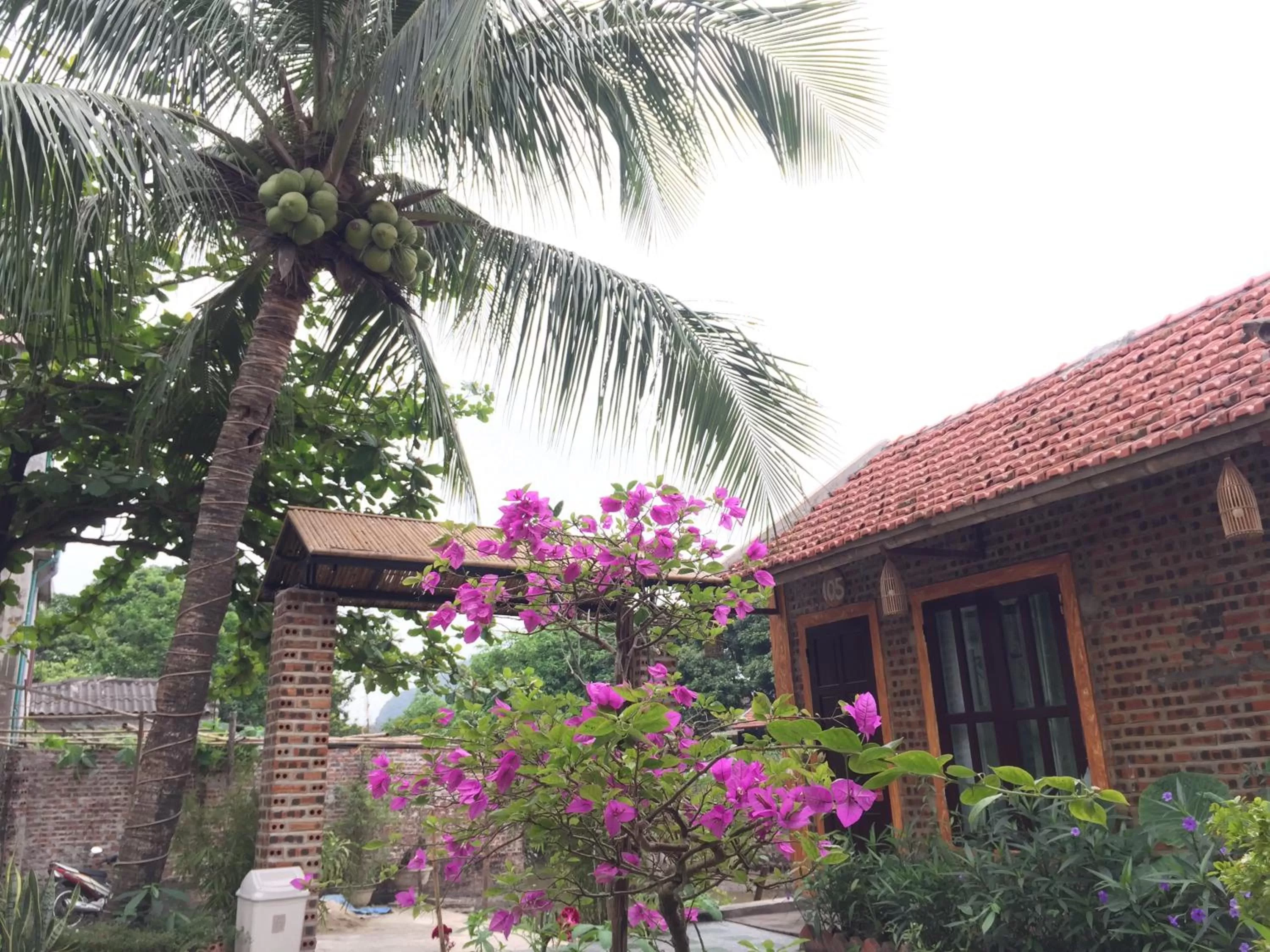 Garden in Tam Coc Vinh Thinh Homestay