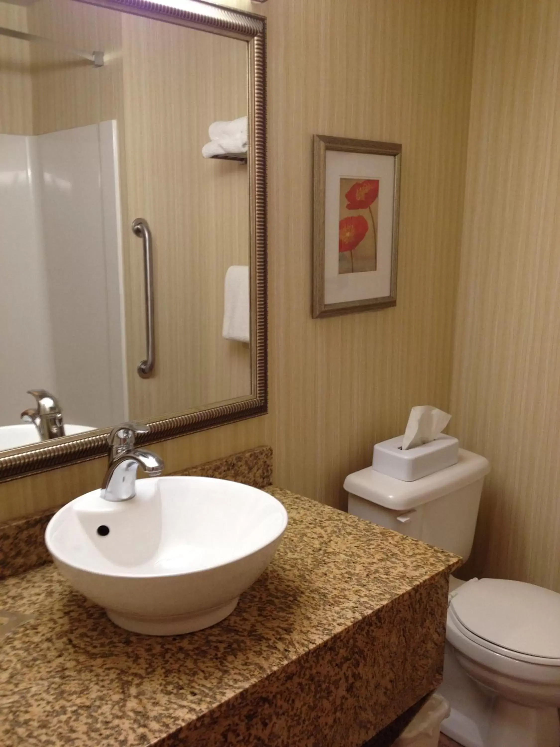 Bathroom in Holiday Inn Hotel & Suites Osoyoos, an IHG Hotel