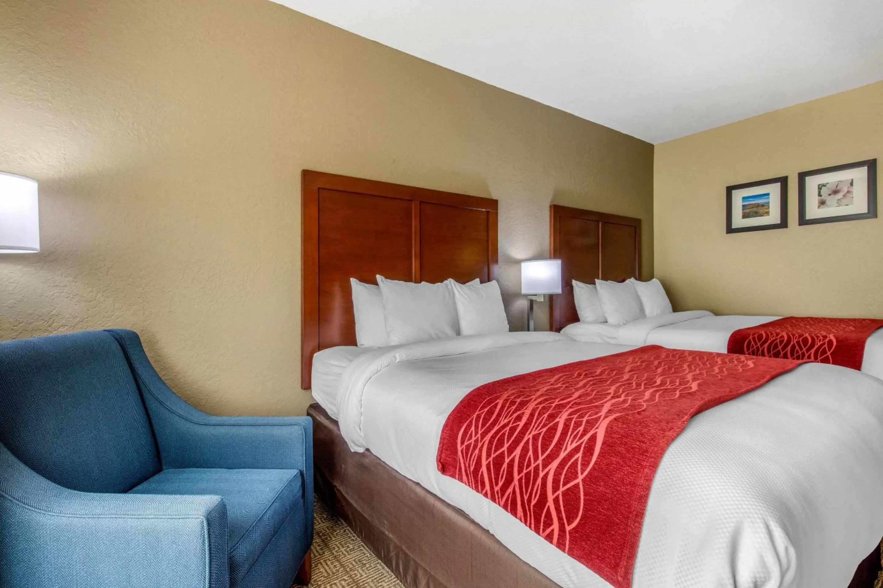 Photo of the whole room, Bed in Comfort Inn & Suites McComb