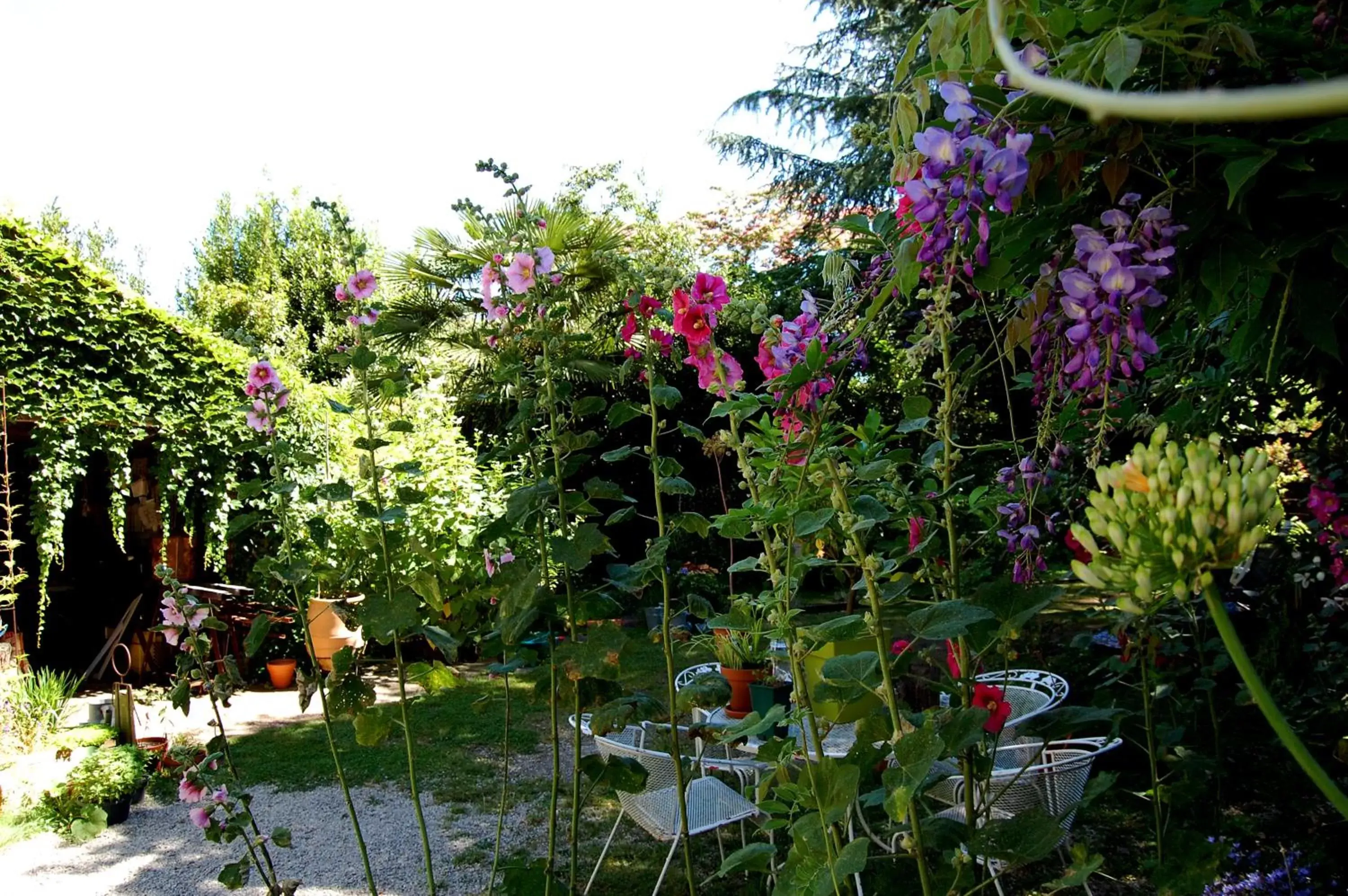 Spring, Garden in Madeleine Bergerac