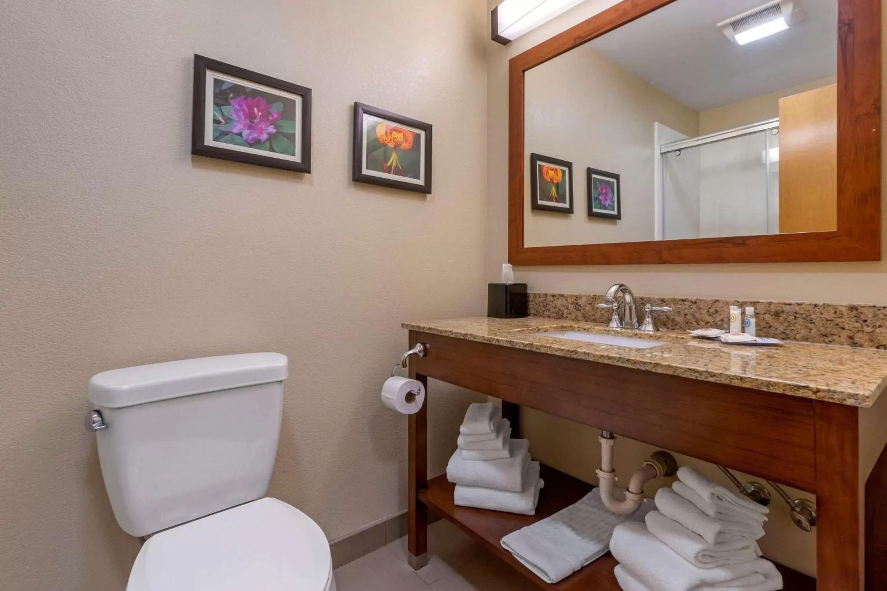 Photo of the whole room, Bathroom in Comfort Suites Boone - University Area
