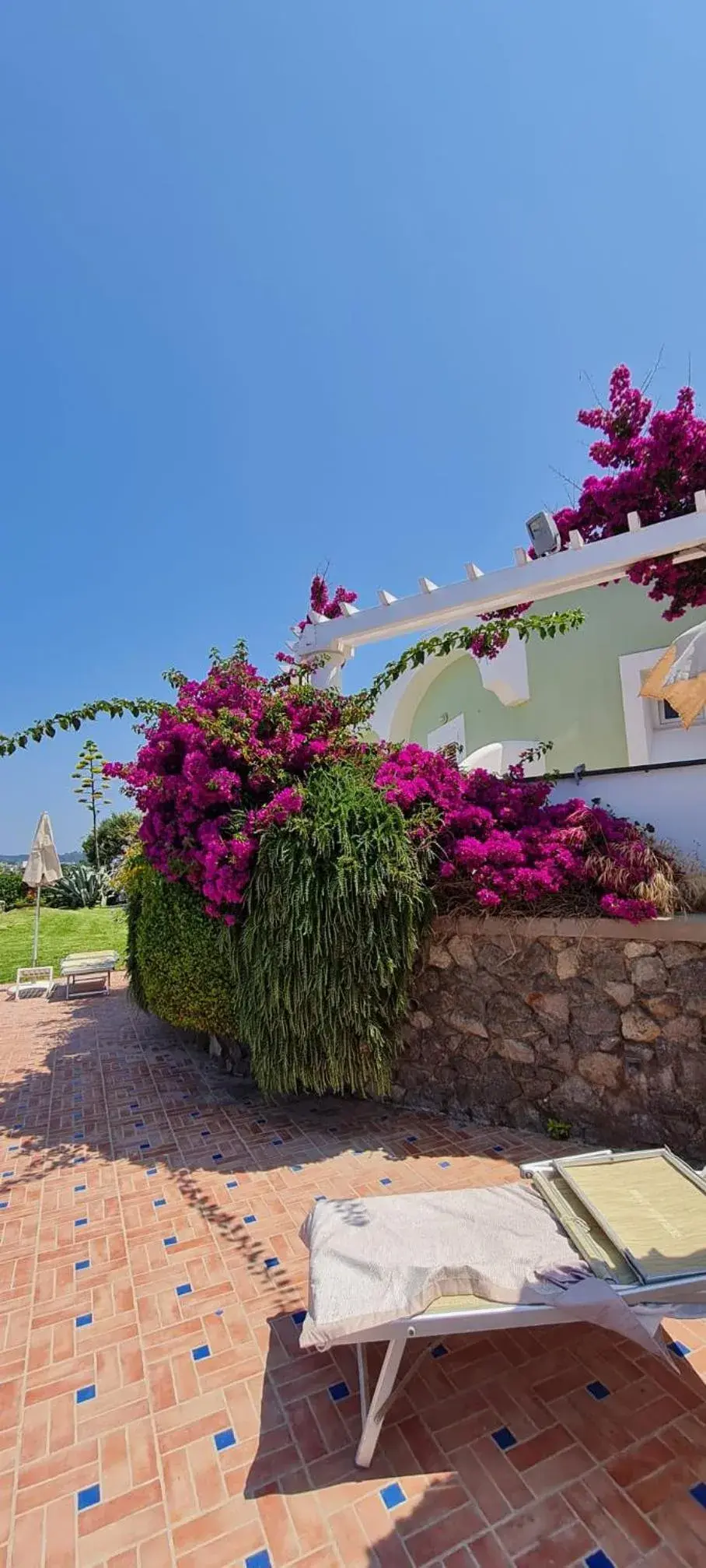 Garden in Hotel Albatros