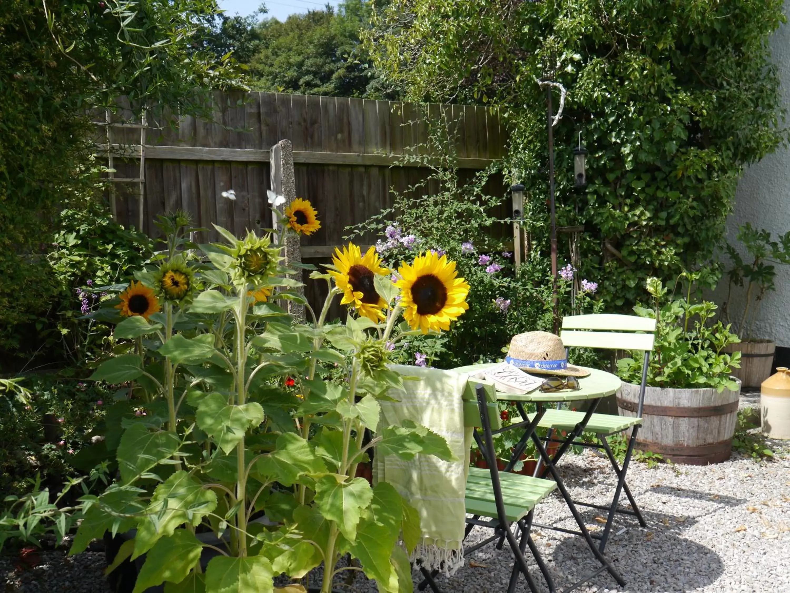 Patio in Leworthy Farmhouse Bed and Breakfast