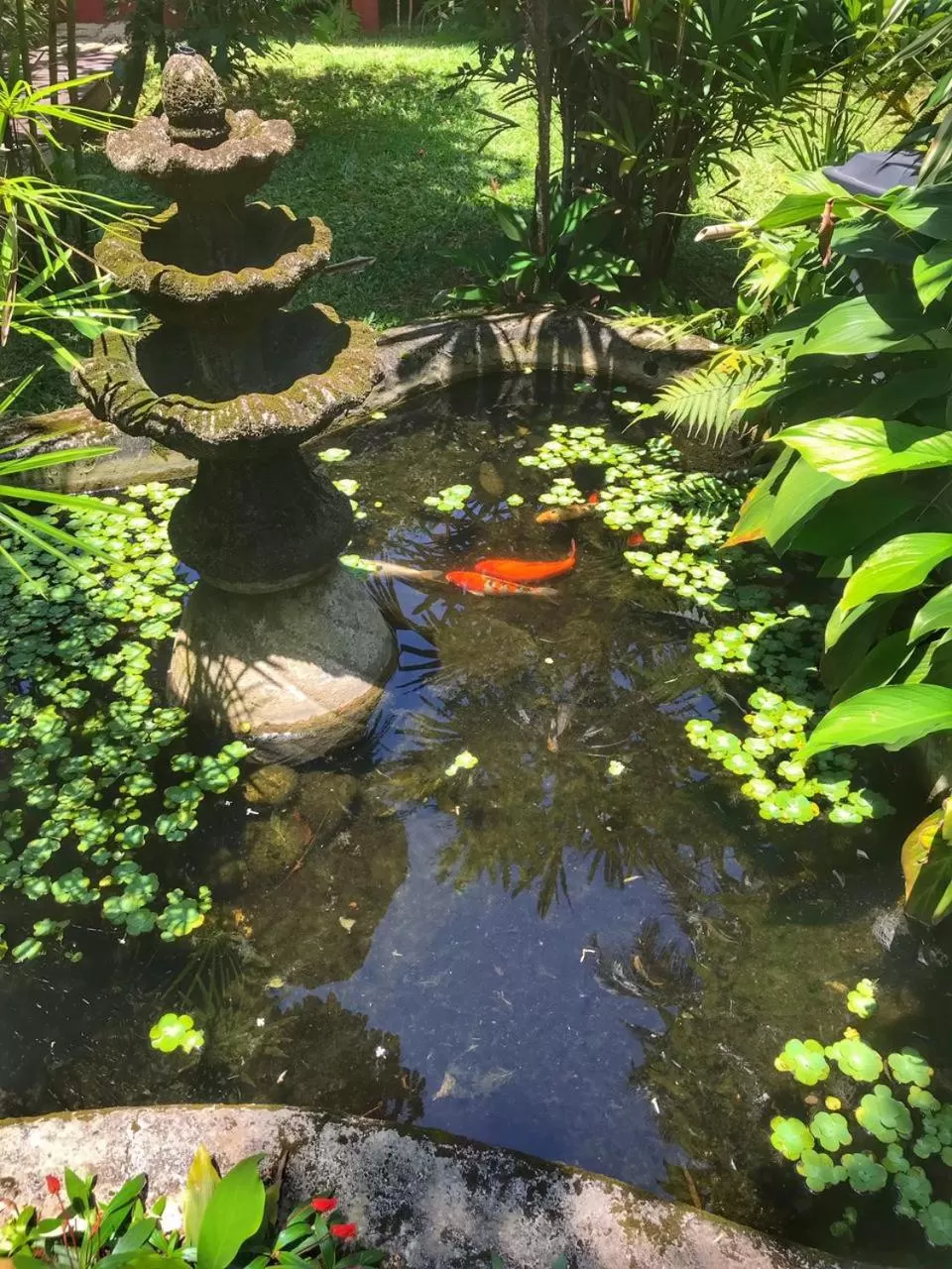 Garden in Pousada Canto Bella Terra