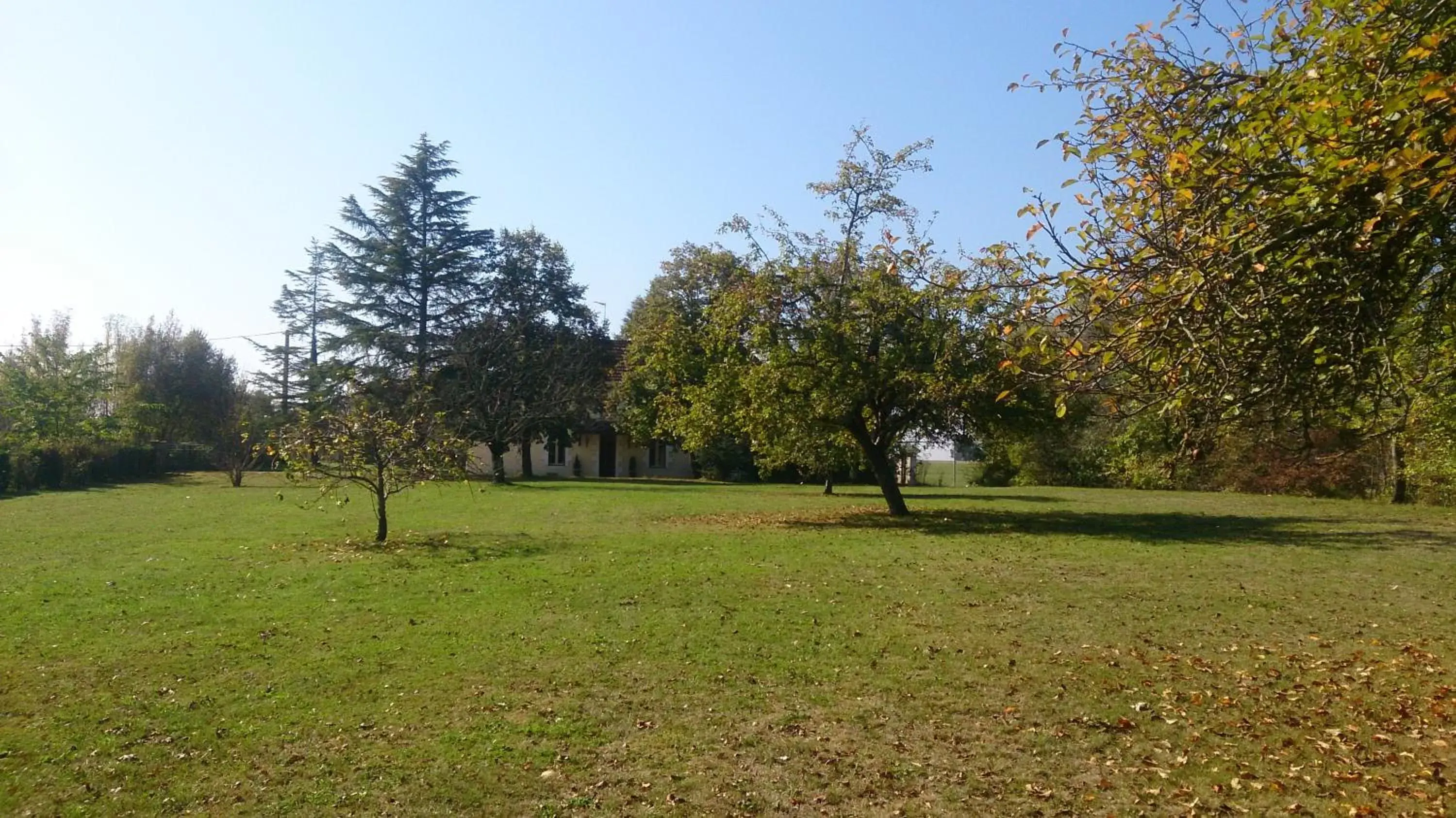 Garden in Le Pontet