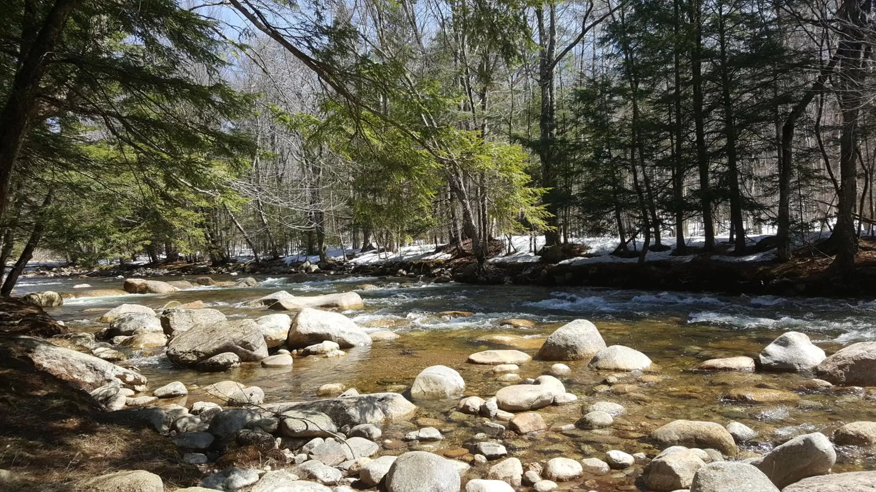 Franconia Notch Motel