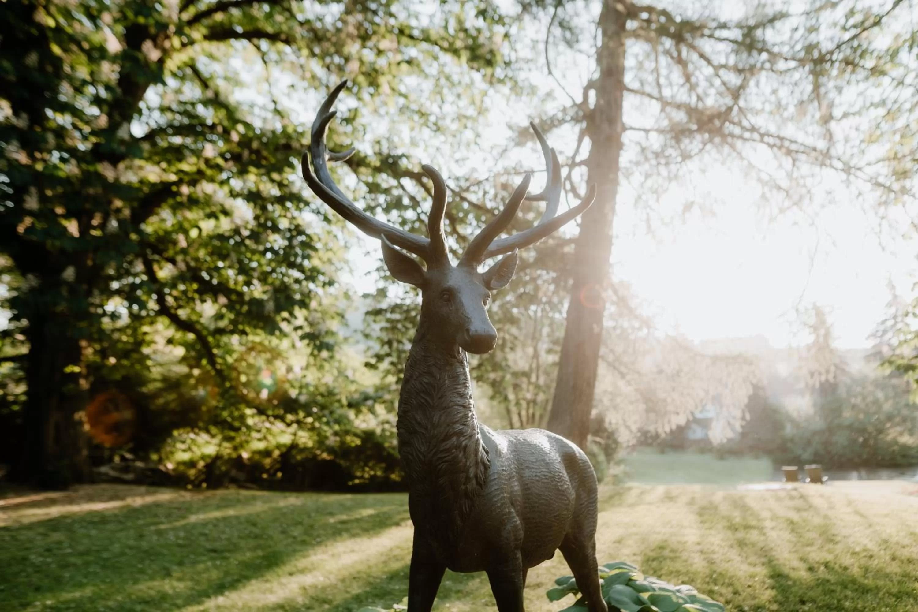 Garden in Schlosshotel Stecklenberg