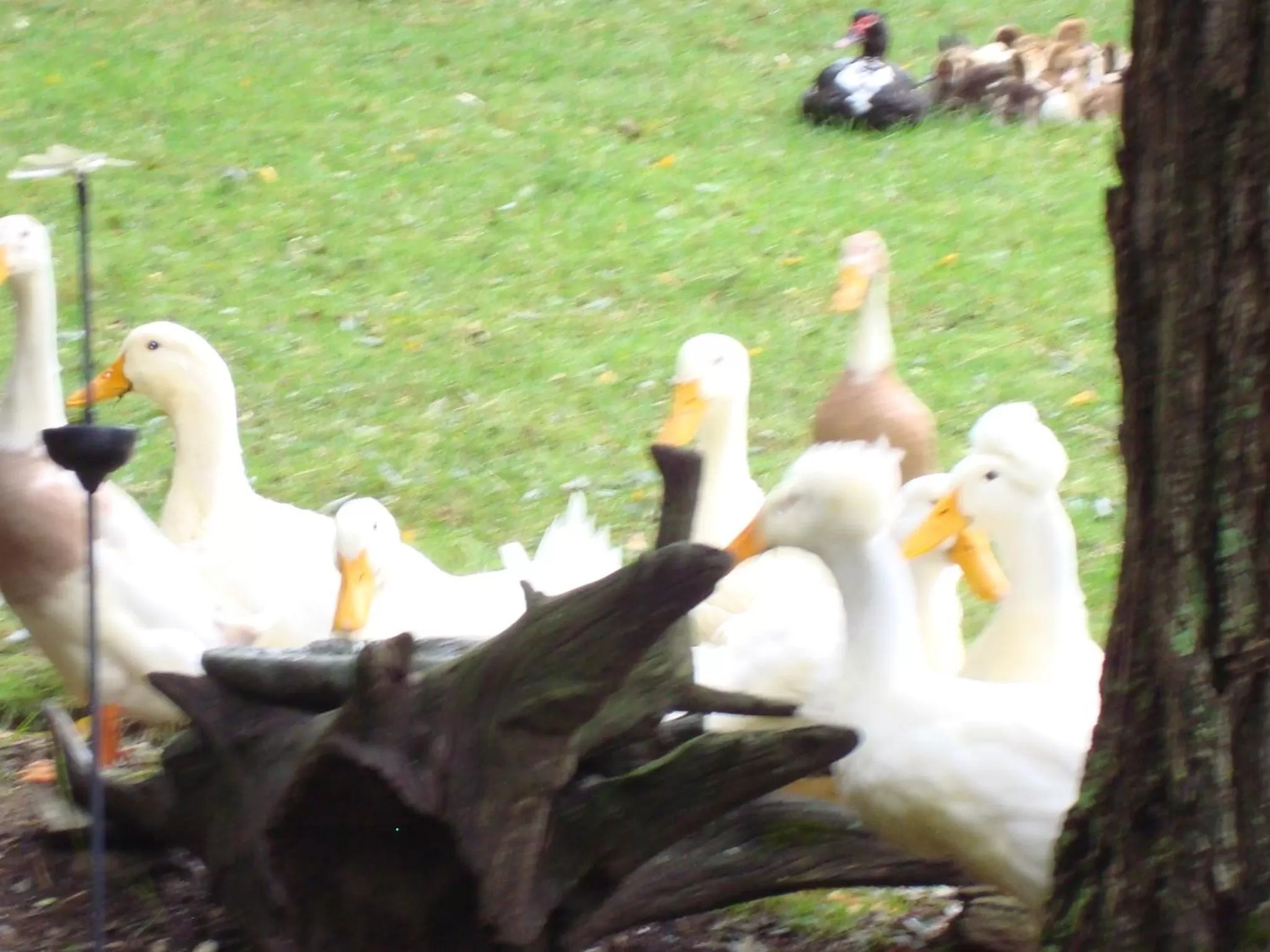 Facade/entrance in The Earl of Sandwich Motel
