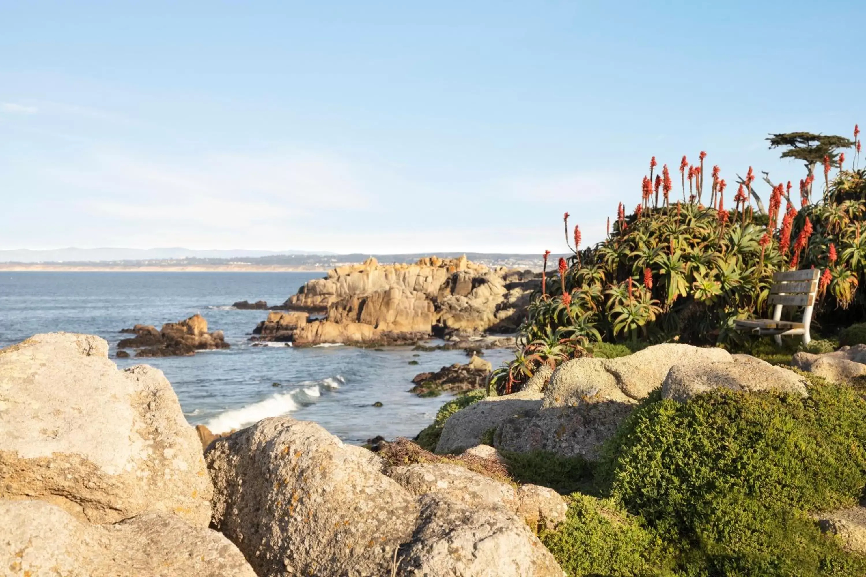 Nearby landmark, Beach in InterContinental The Clement Monterey, an IHG Hotel