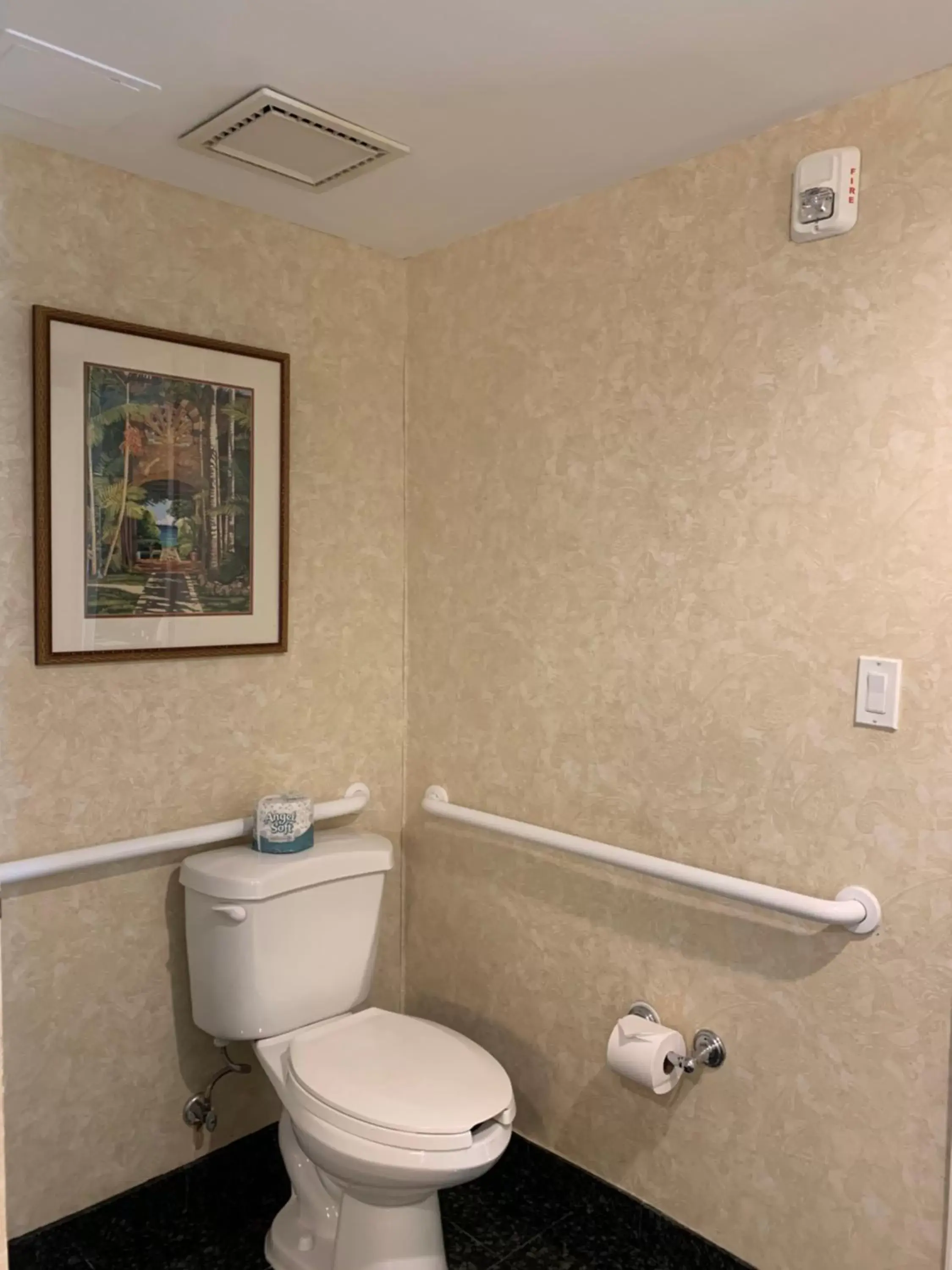 Toilet, Bathroom in The Lago Mar Beach Resort and Club