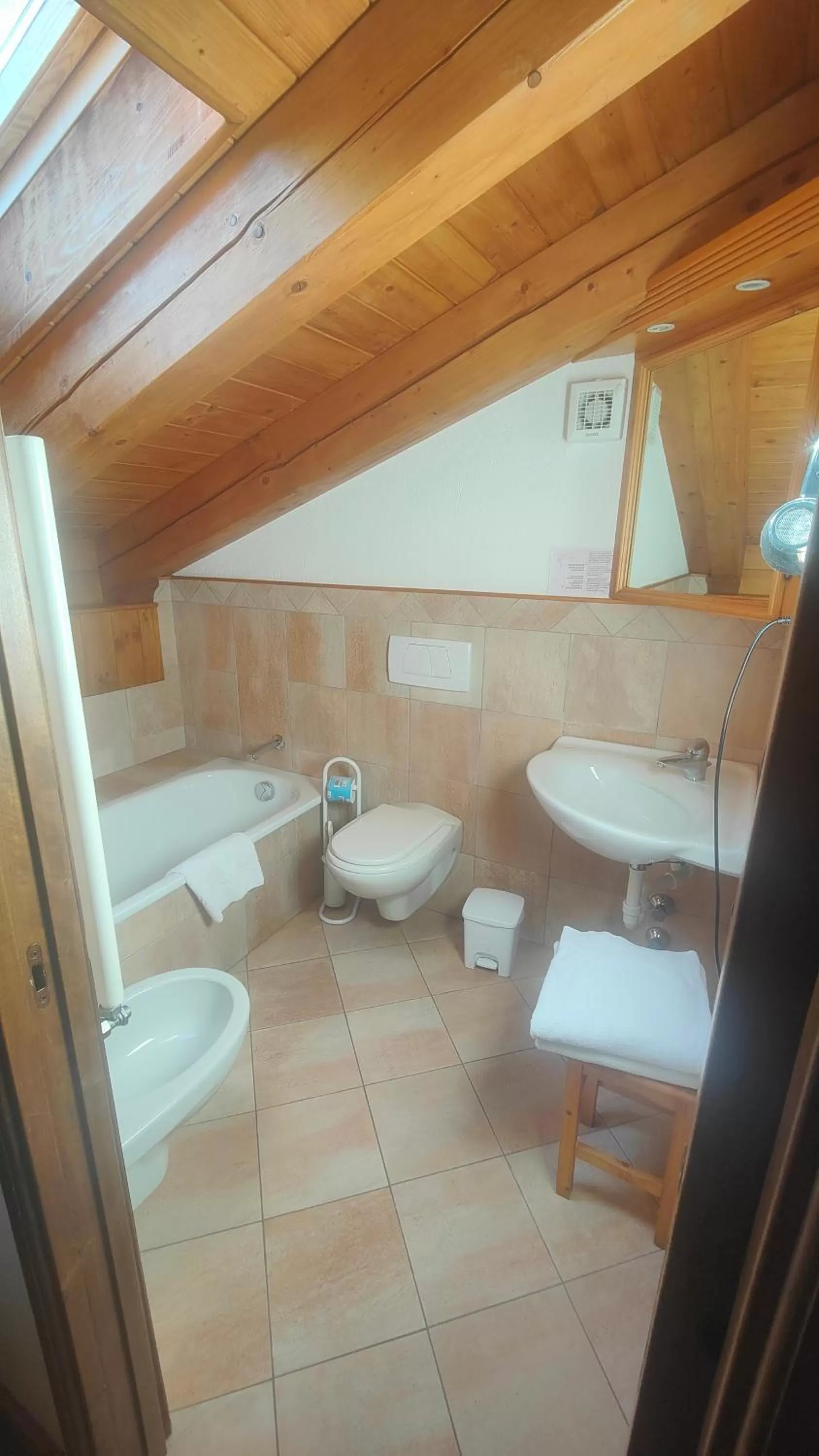 Toilet in Hotel Lo Campagnar