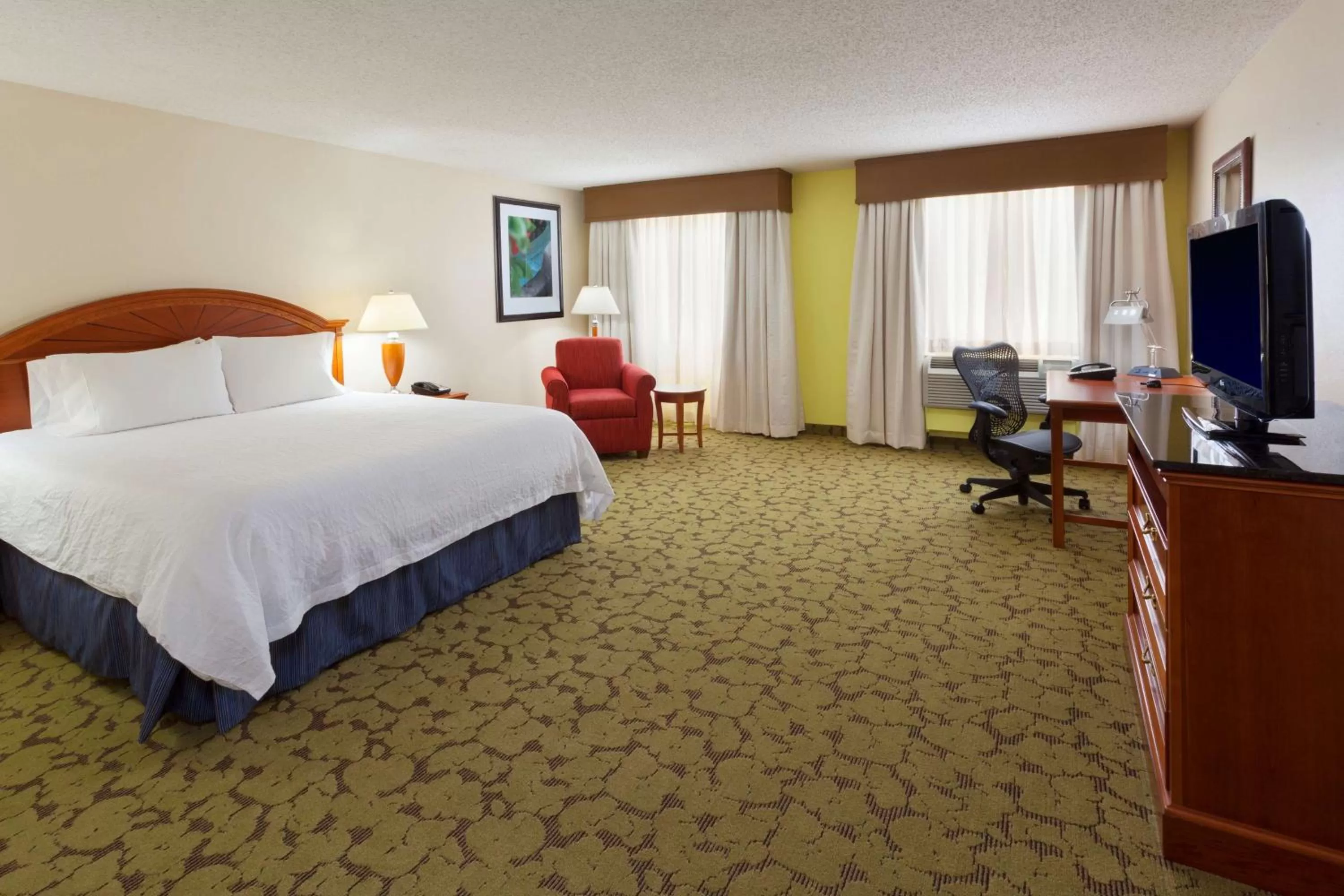 King Room with Roll-In Shower - Disability Access in Hilton Garden Inn Gainesville