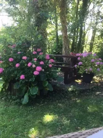 Garden in Cilbrwyn
