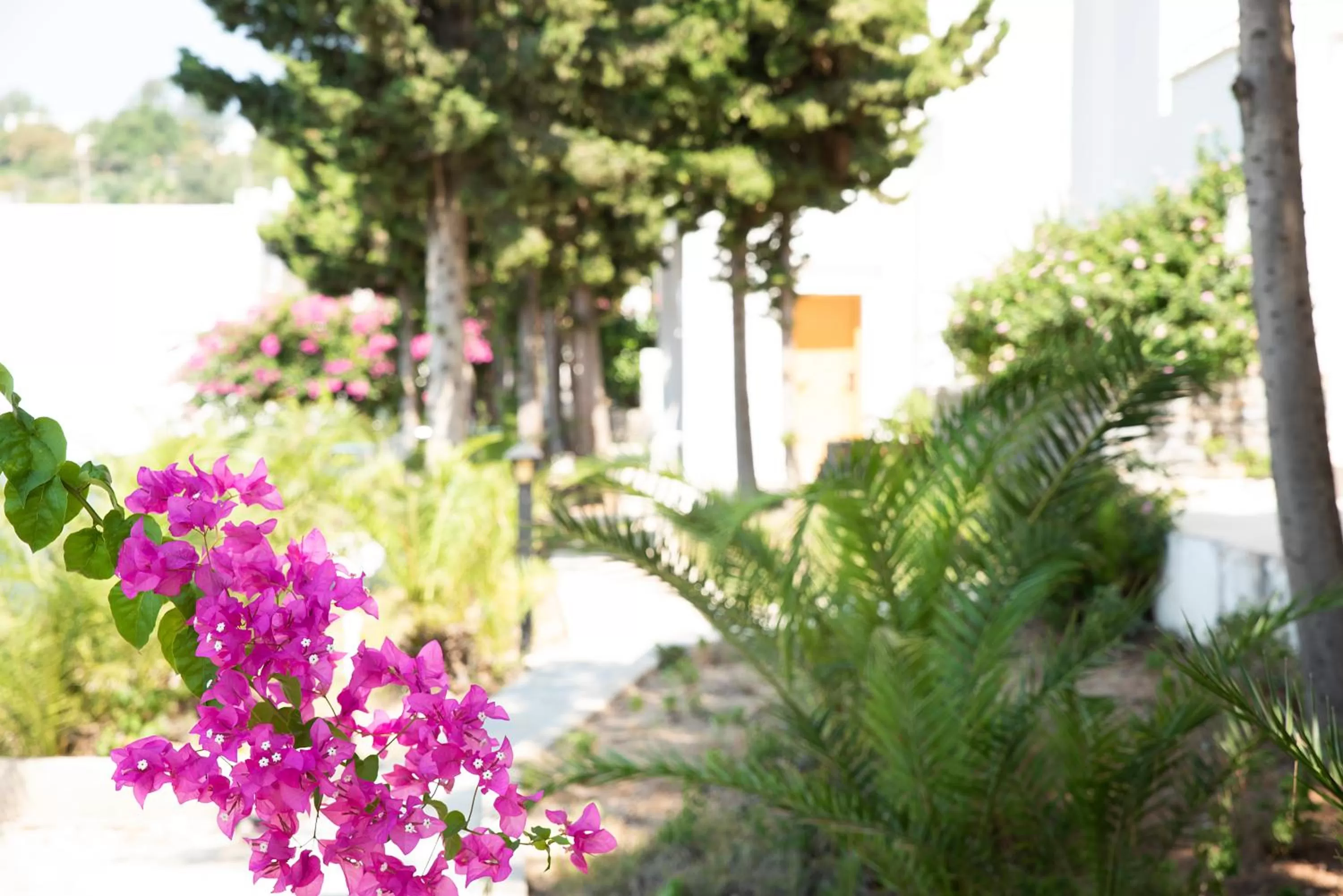 Garden in La Quinta by Wyndham Bodrum