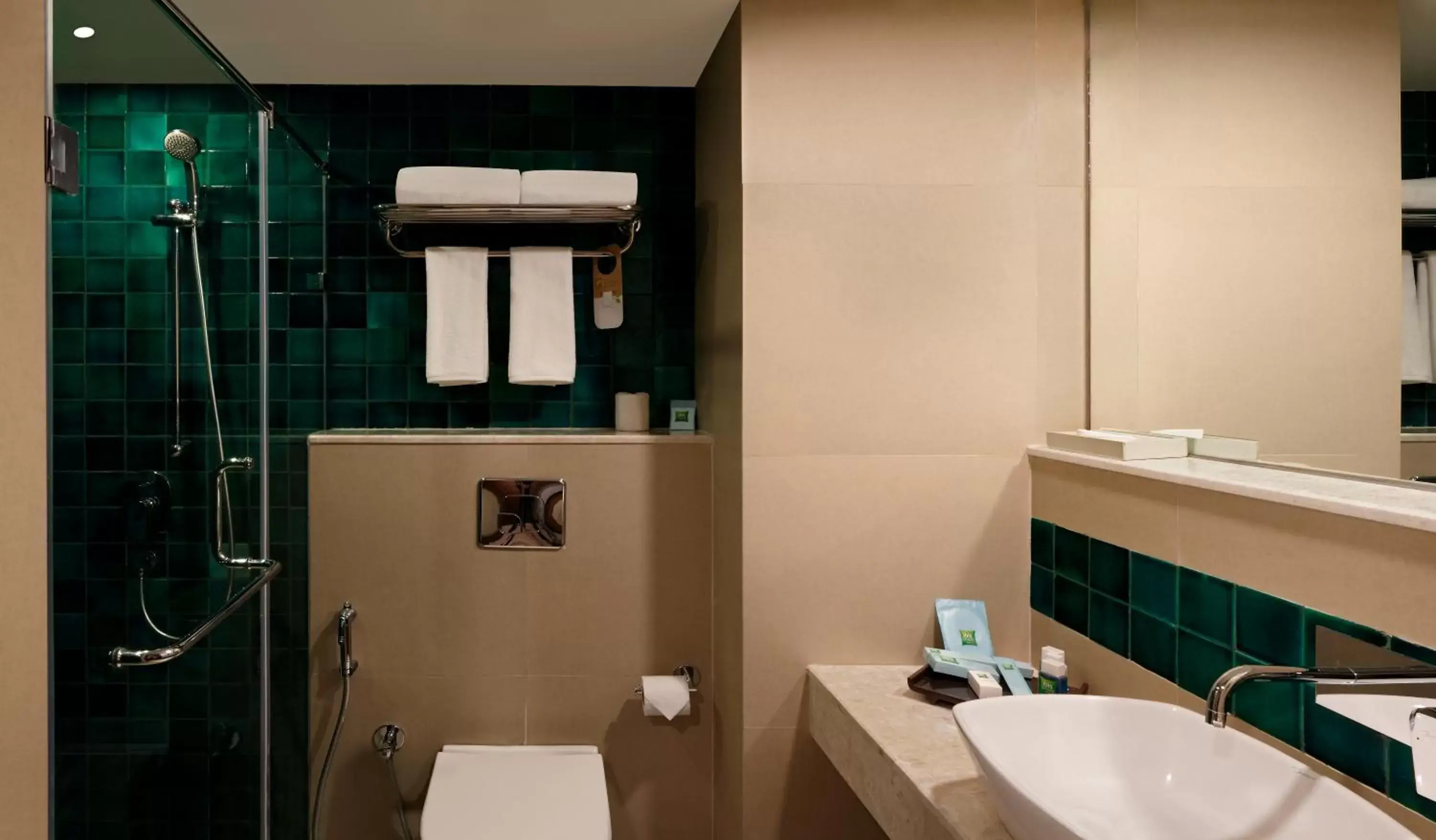Bathroom in ibis Styles Goa Calangute - An Accor Brand