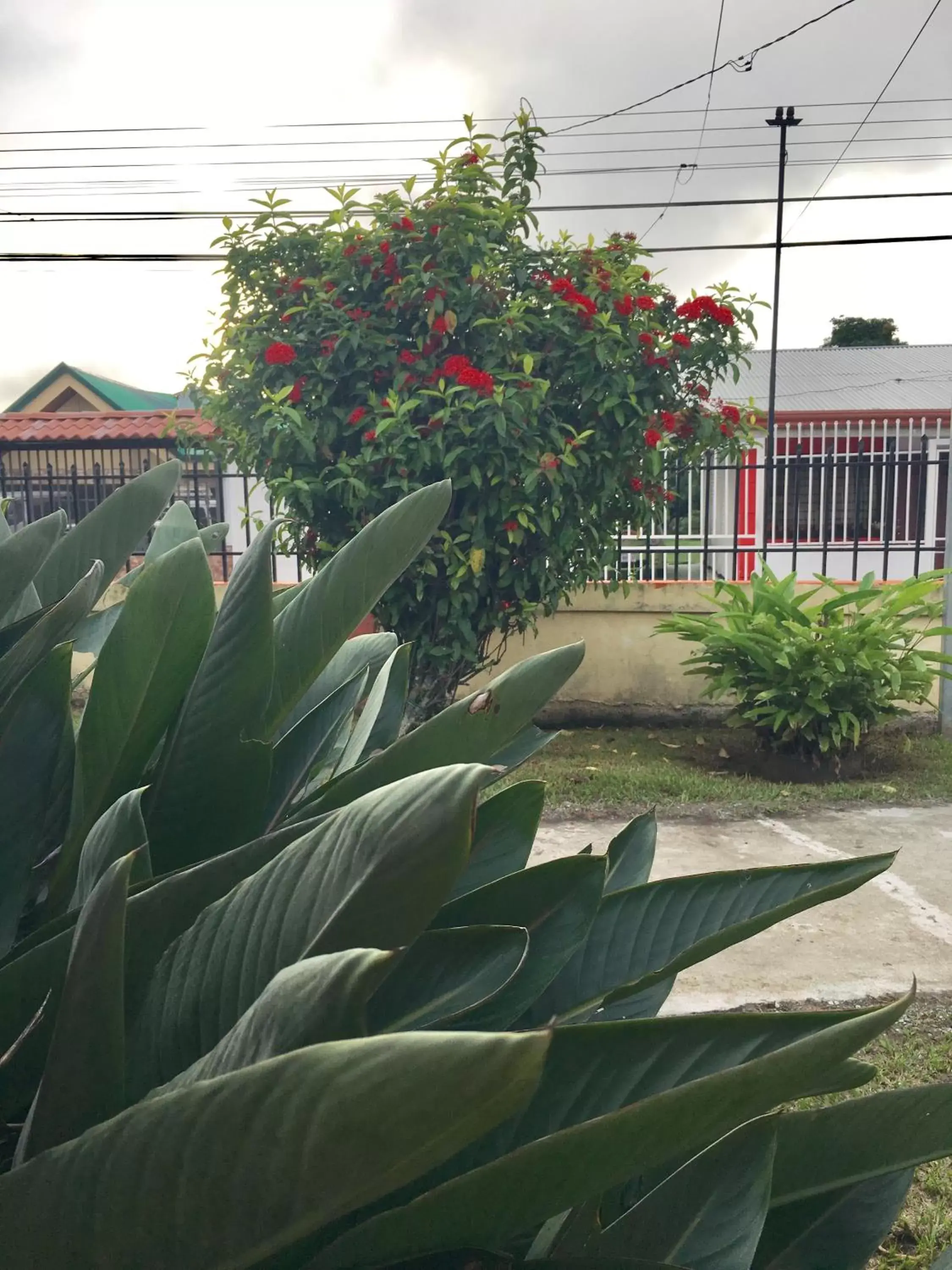 Garden in Hotel Your House