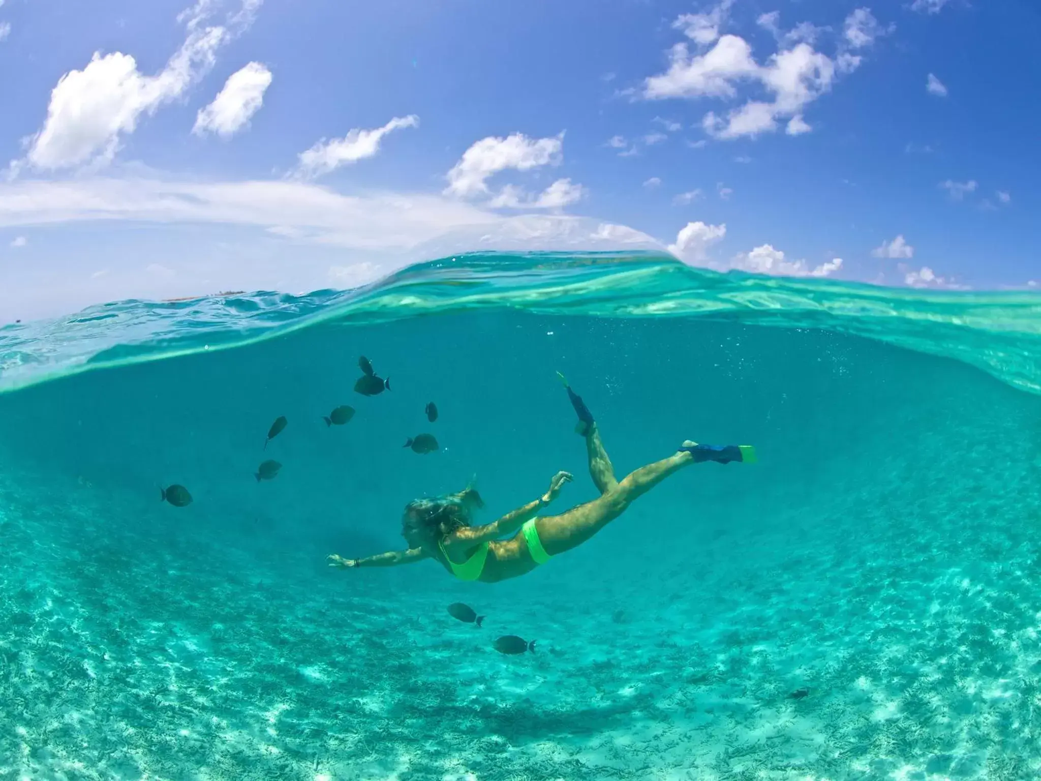 Snorkeling in Oceans Edge Key West