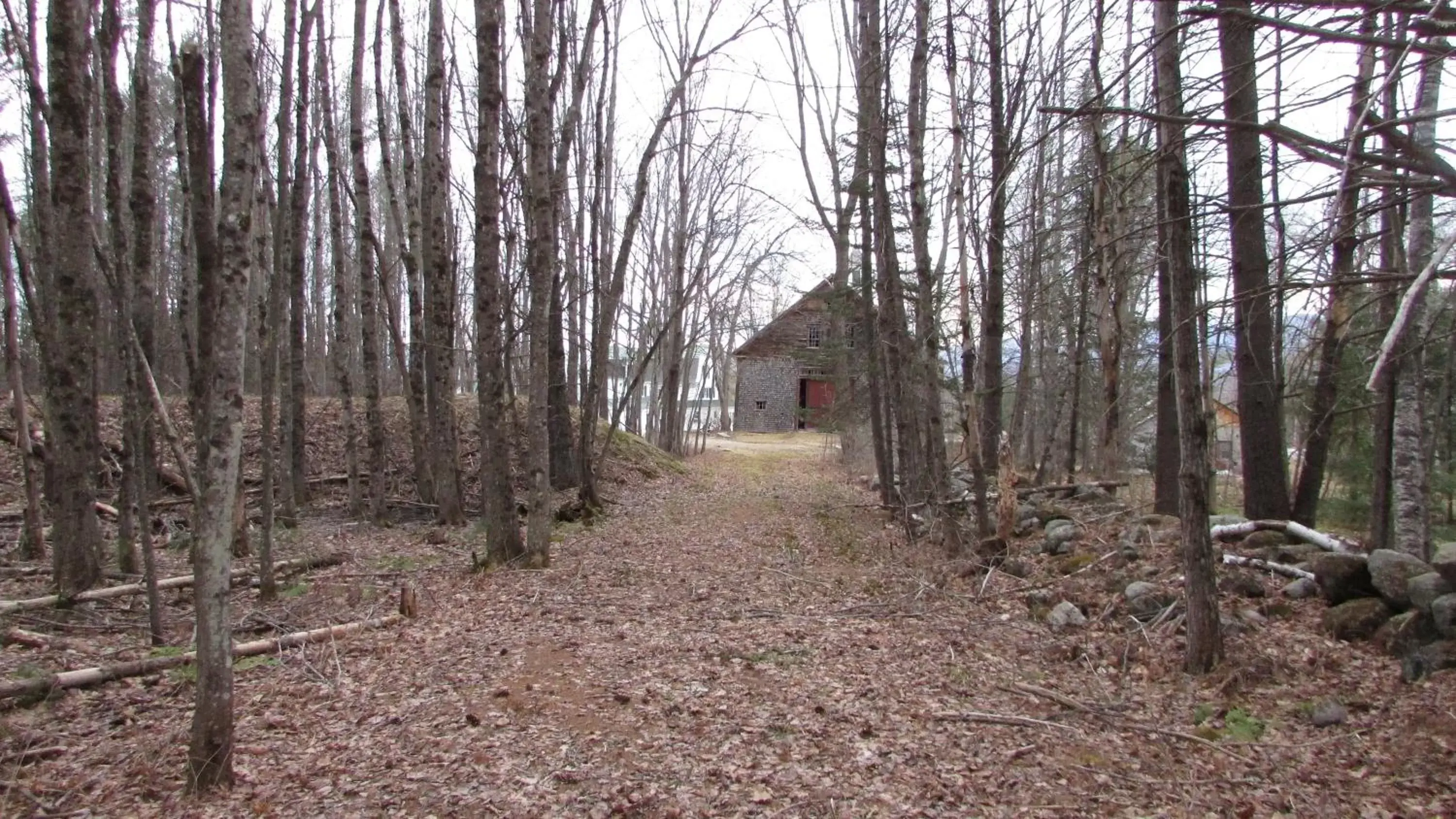 Natural landscape in Center Lovell Inn