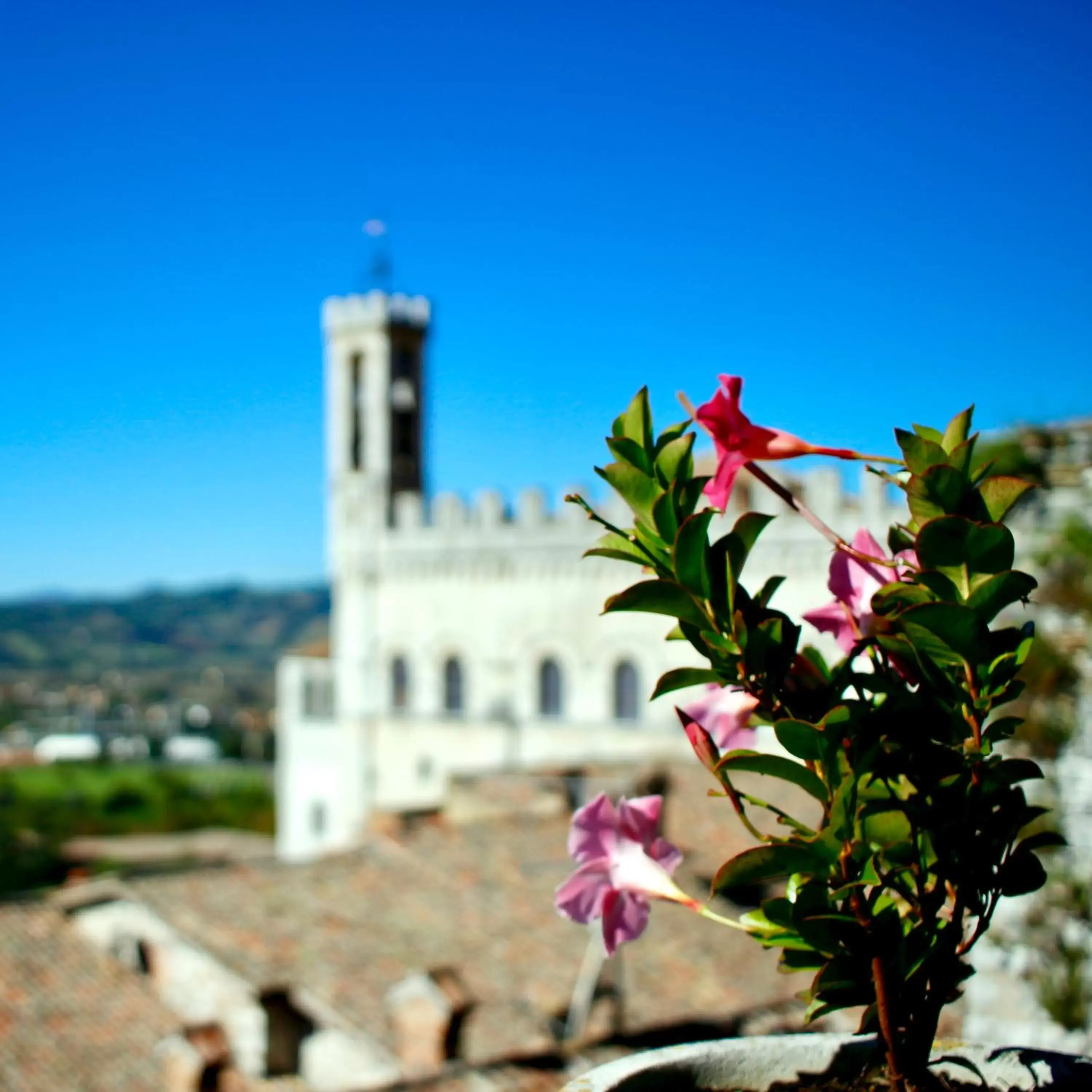 Garden in Relais Ducale