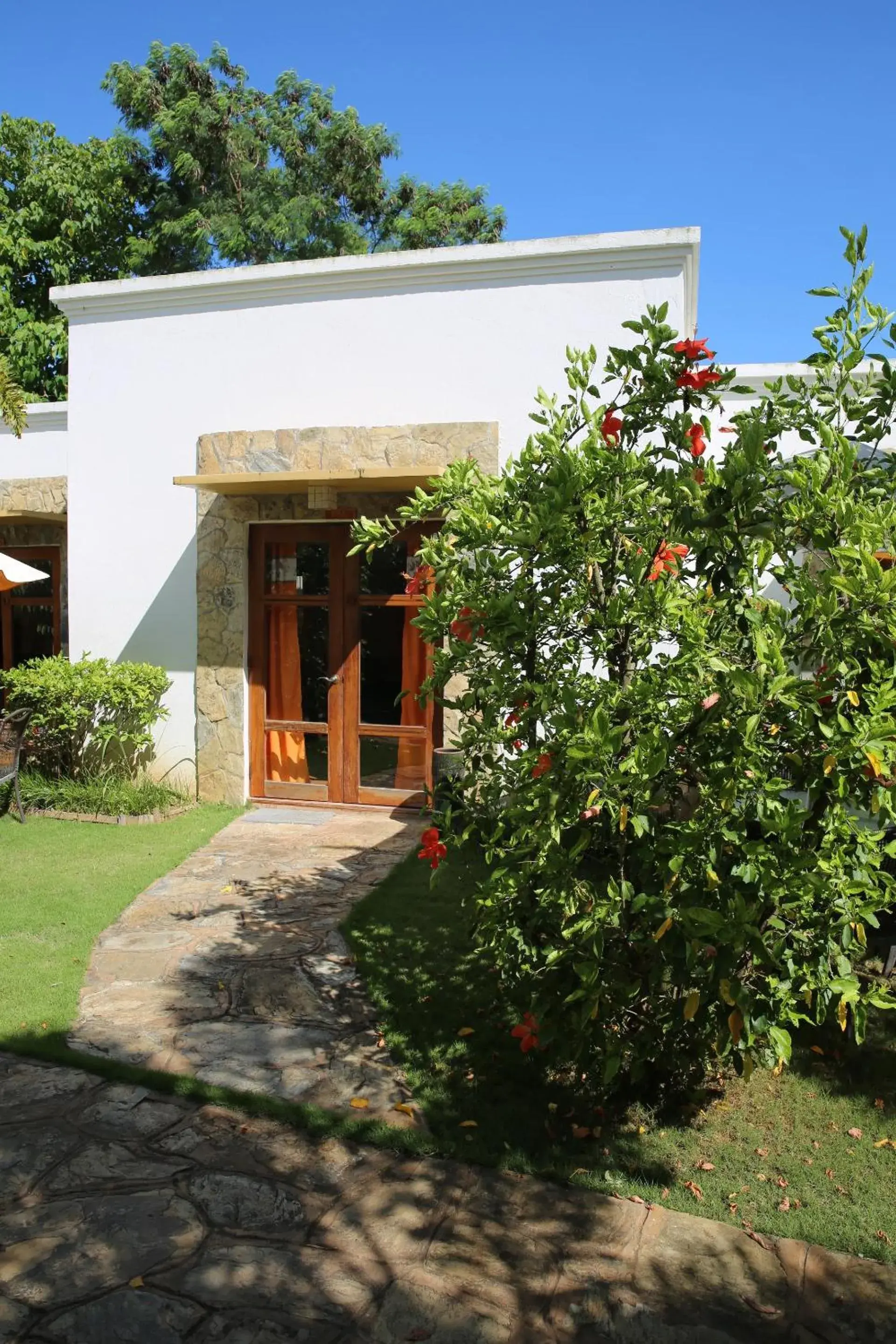 Patio, Property Building in Acacia Tree Garden Hotel