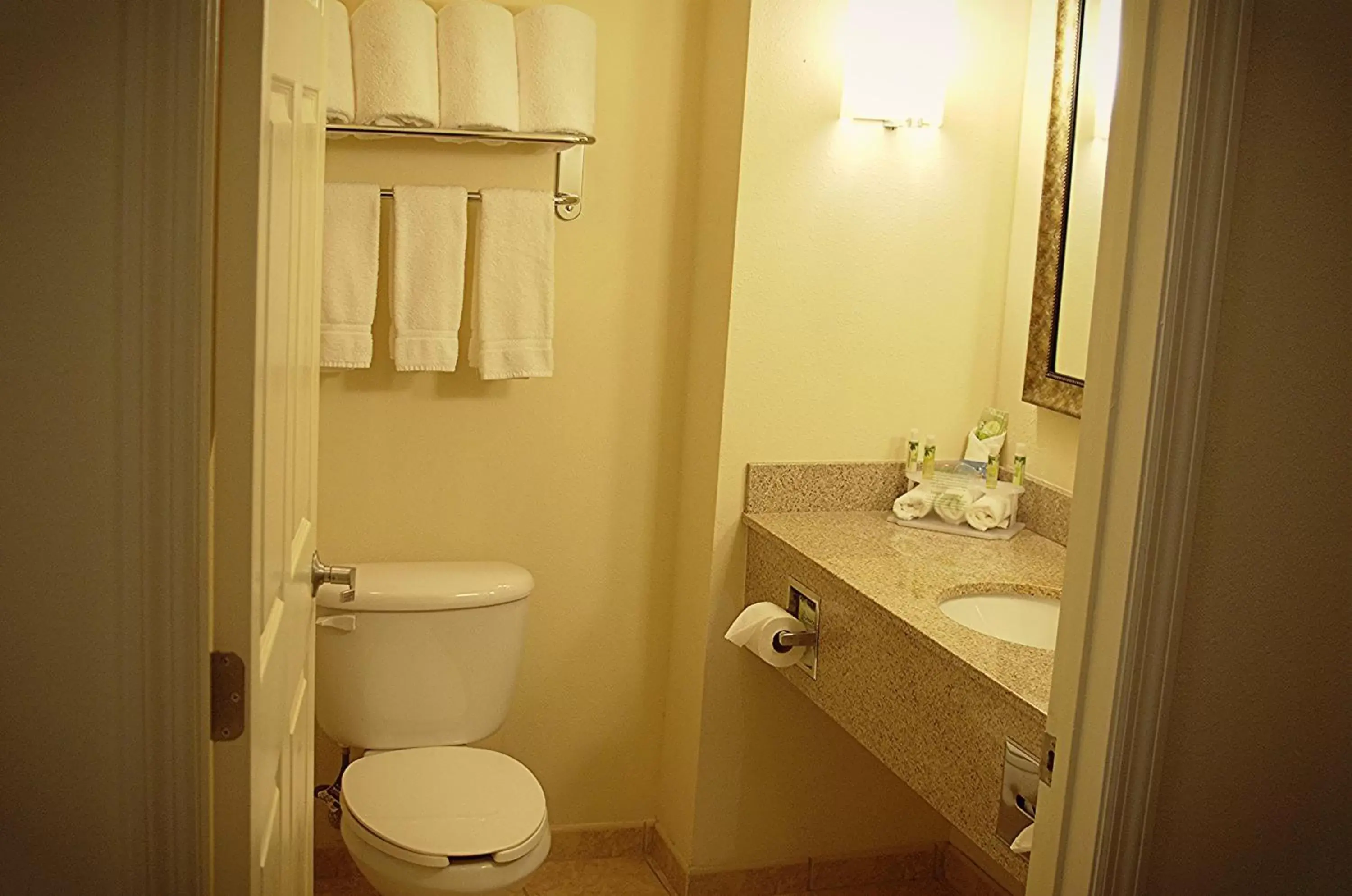 Toilet, Bathroom in Holiday Inn Express DeFuniak Springs, an IHG Hotel