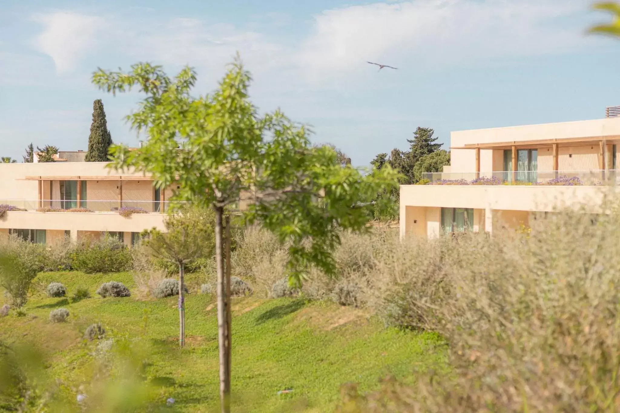 Property Building in White Shell Beach Villas