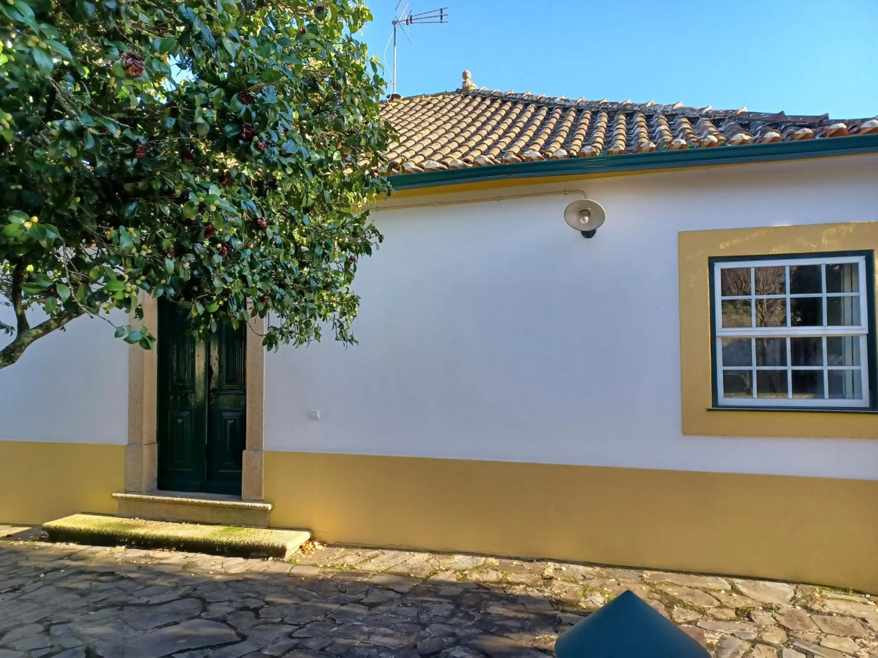 Property Building in Casa da Ponte, Coja