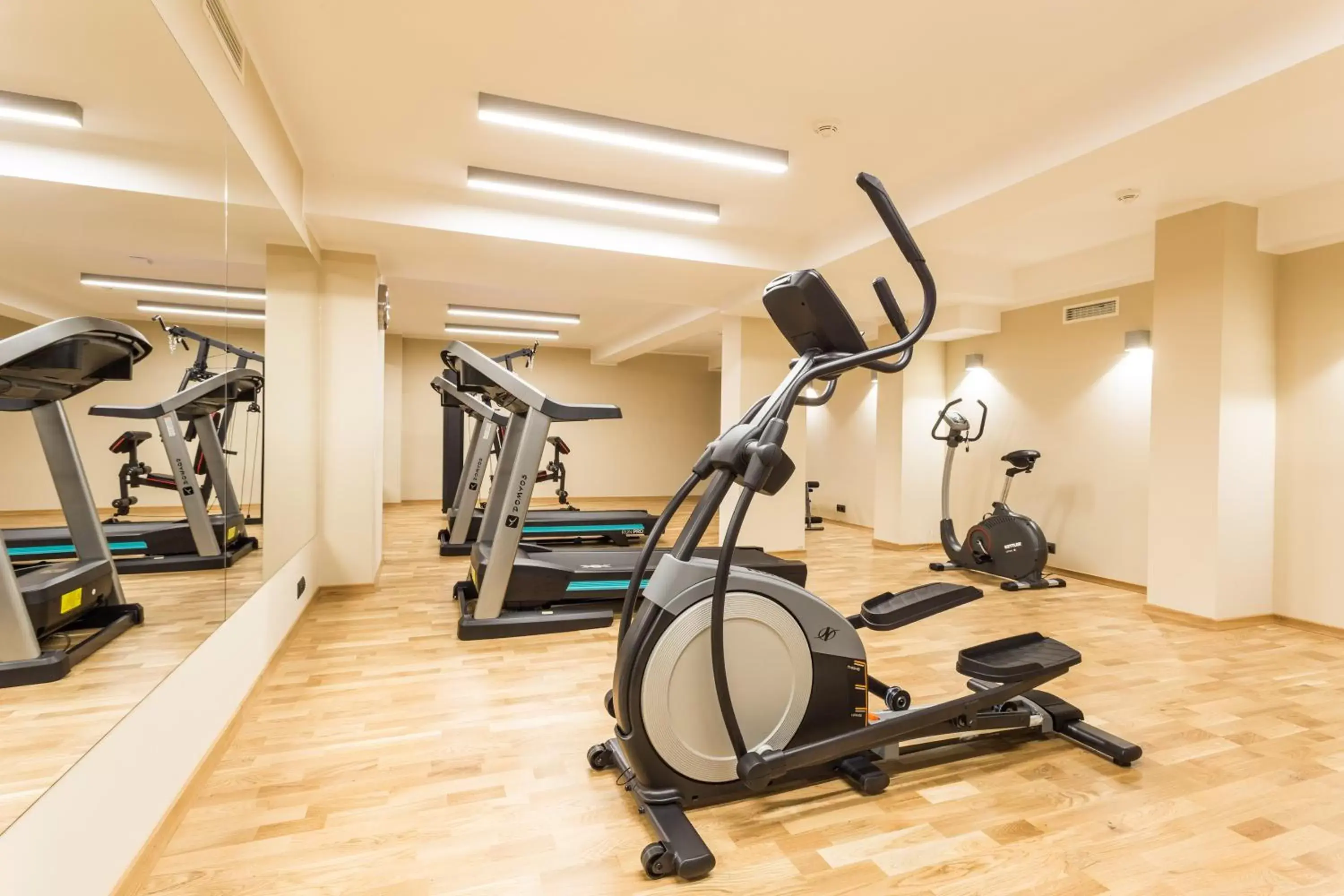 Fitness centre/facilities, Fitness Center/Facilities in Hotel DeSilva Premium Poznań