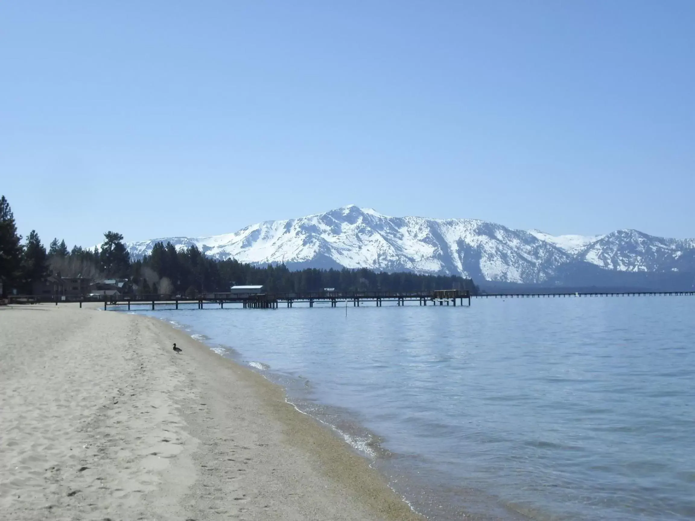 View (from property/room) in The Tahoe Beach & Ski Club Owners Association