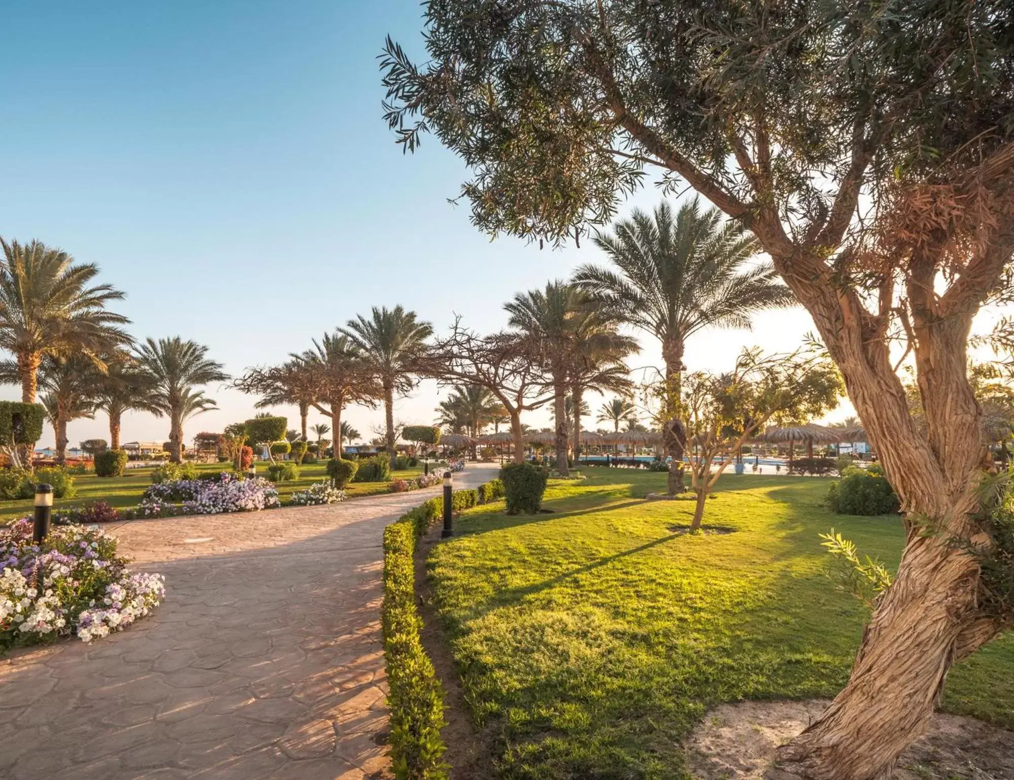 Garden in Hurghada Long Beach Resort