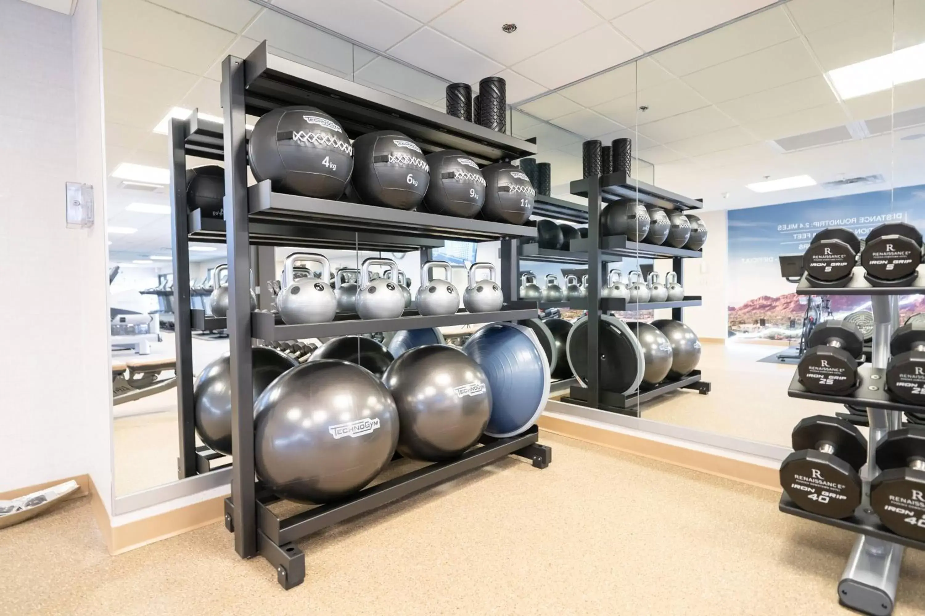 Fitness centre/facilities, Fitness Center/Facilities in Renaissance Phoenix Downtown Hotel