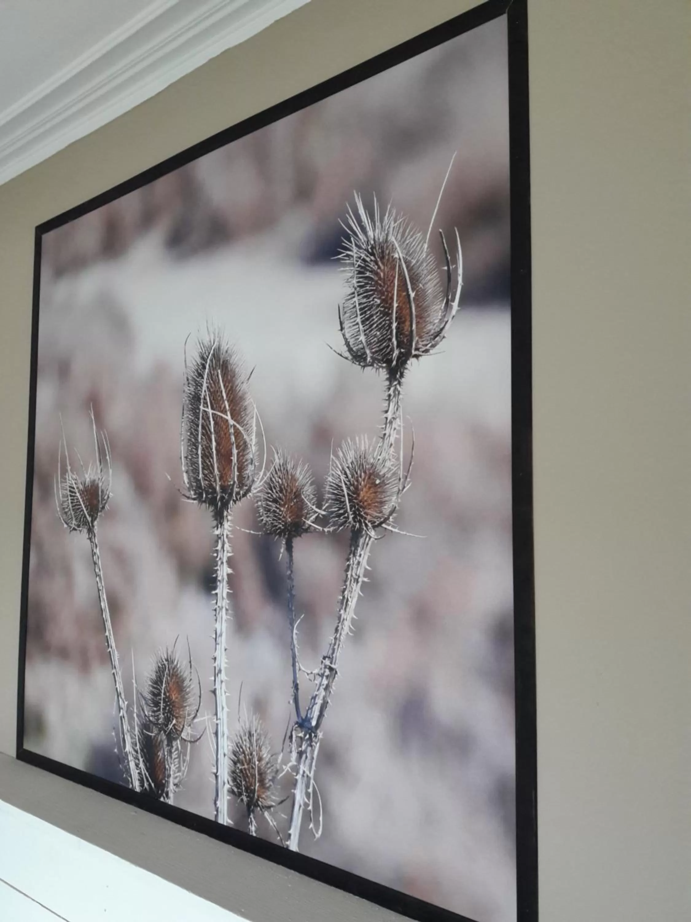 Hôtel-Restaurant "Chez Carrière"