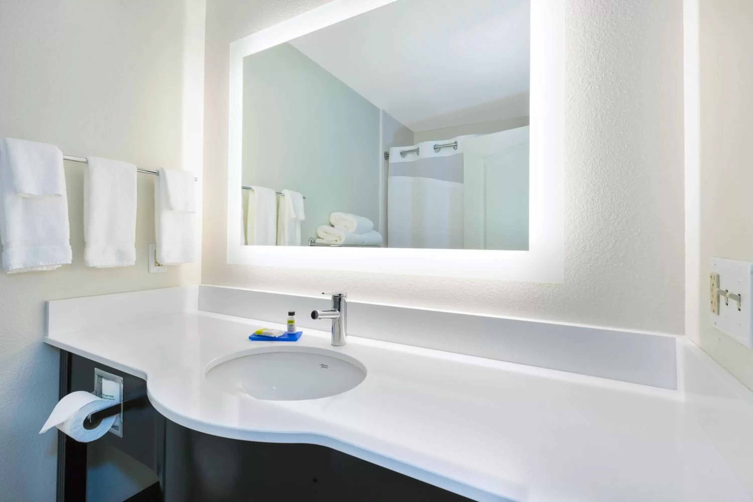Bathroom in Holiday Inn Express & Suites - Effingham, an IHG Hotel