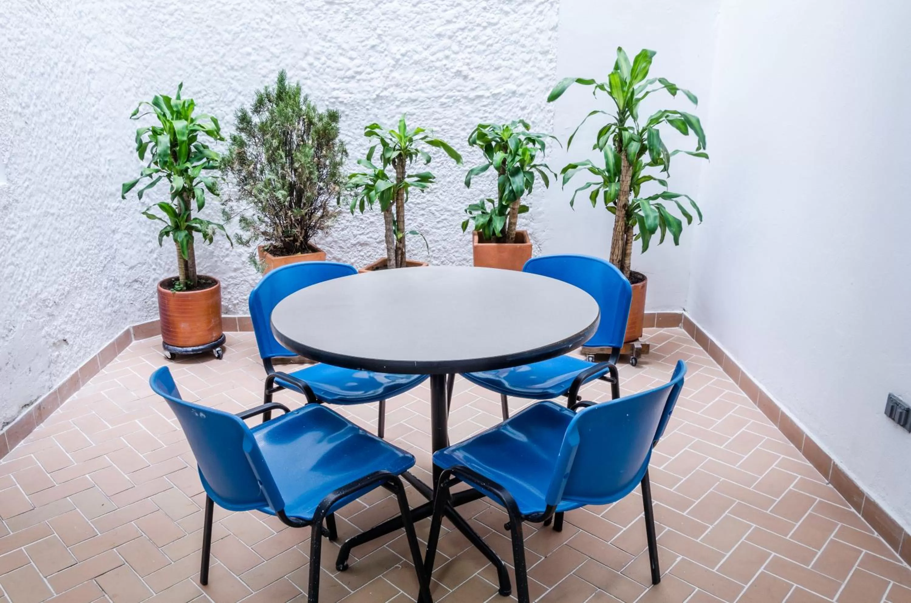 Patio in Hotel Suite del Parque