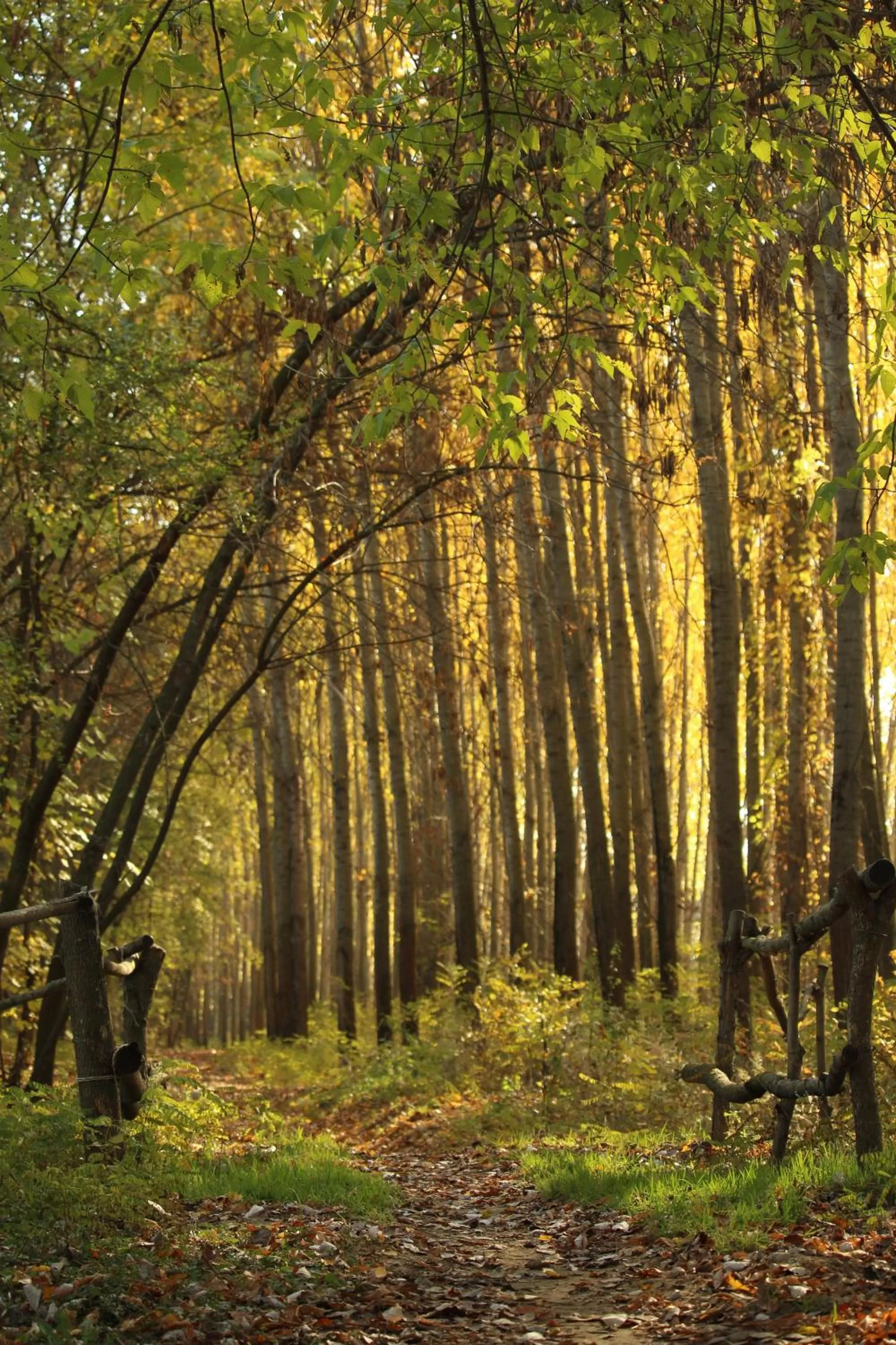 Hiking in Levendula Hotel