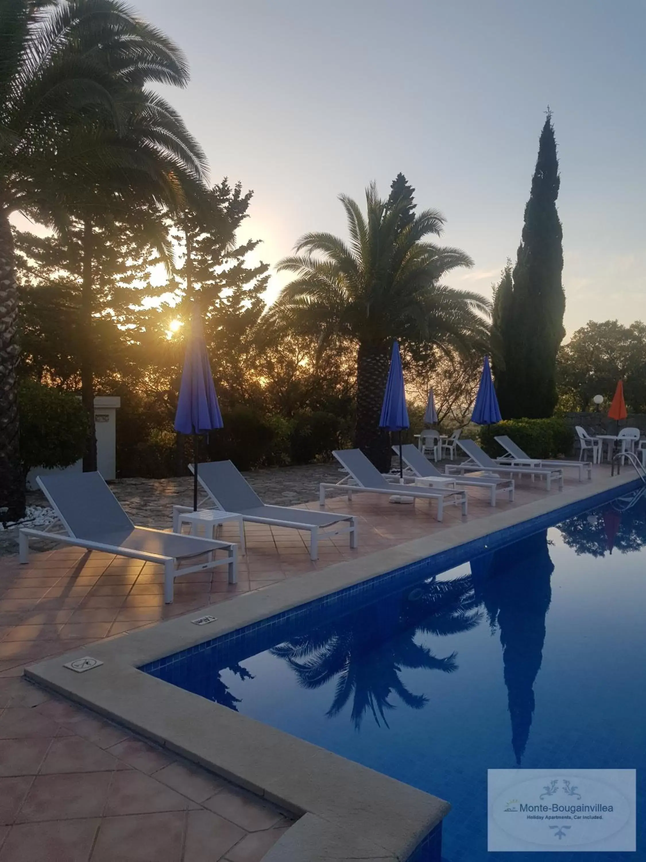 Swimming Pool in Monte-Bougainvillea