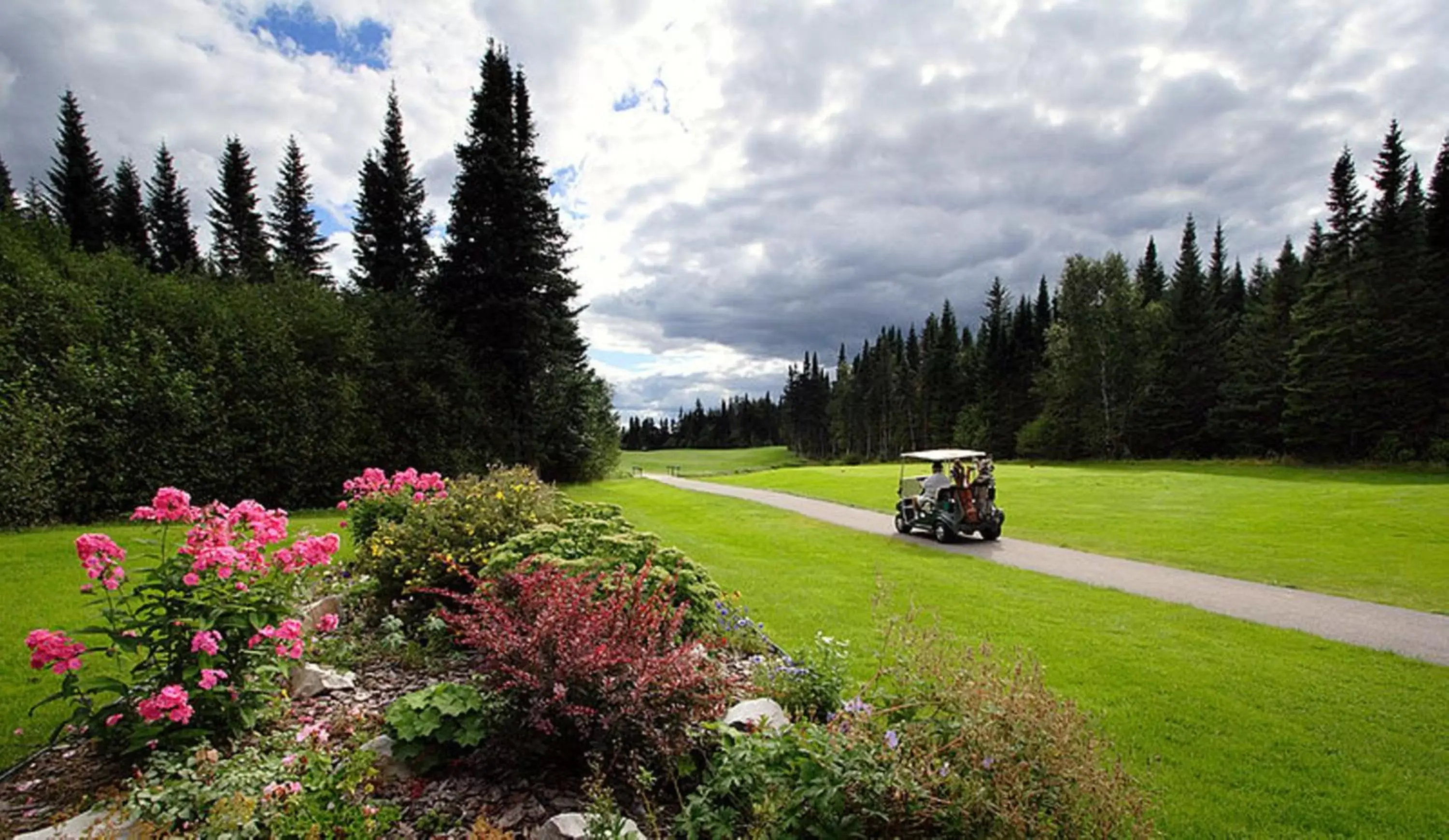 Area and facilities, Garden in Holiday Inn Express Deer Lake, an IHG Hotel