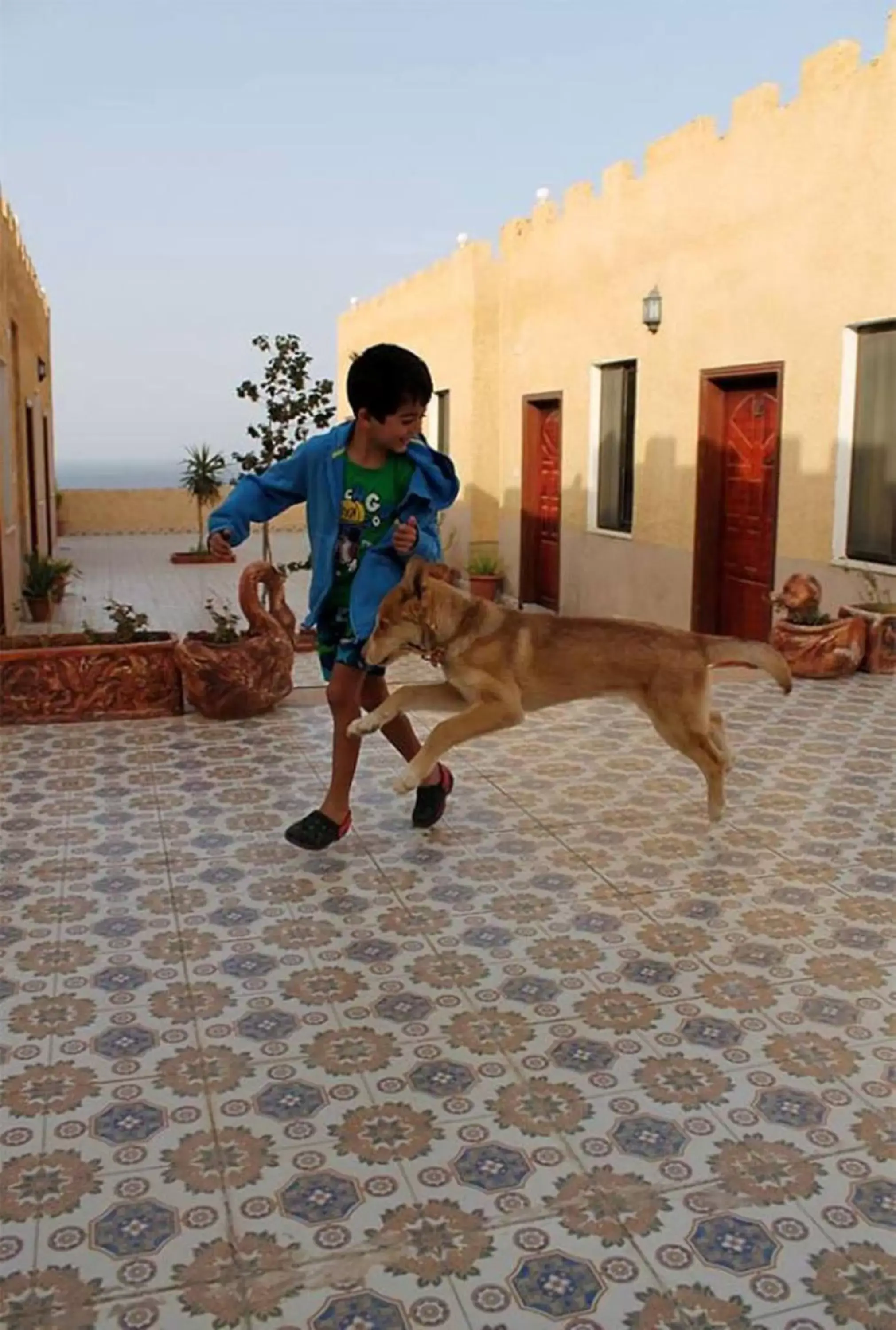 Double Room in Arab Divers Dive Center and Bed & Breakfast Double Room in Arab Divers Dive Center and Bed & Breakfast