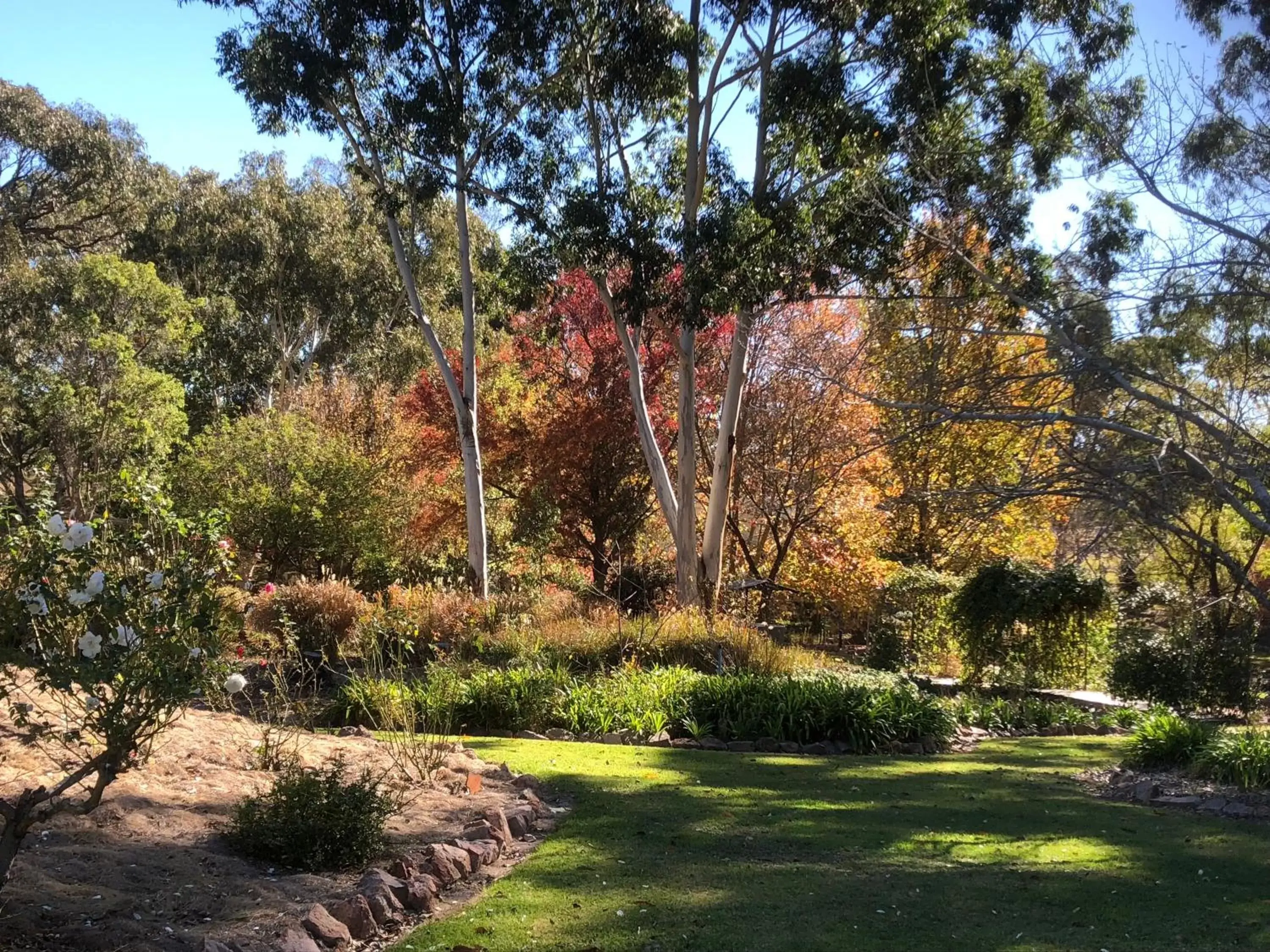 Garden in Granite Gardens Cottages & Lake Retreat