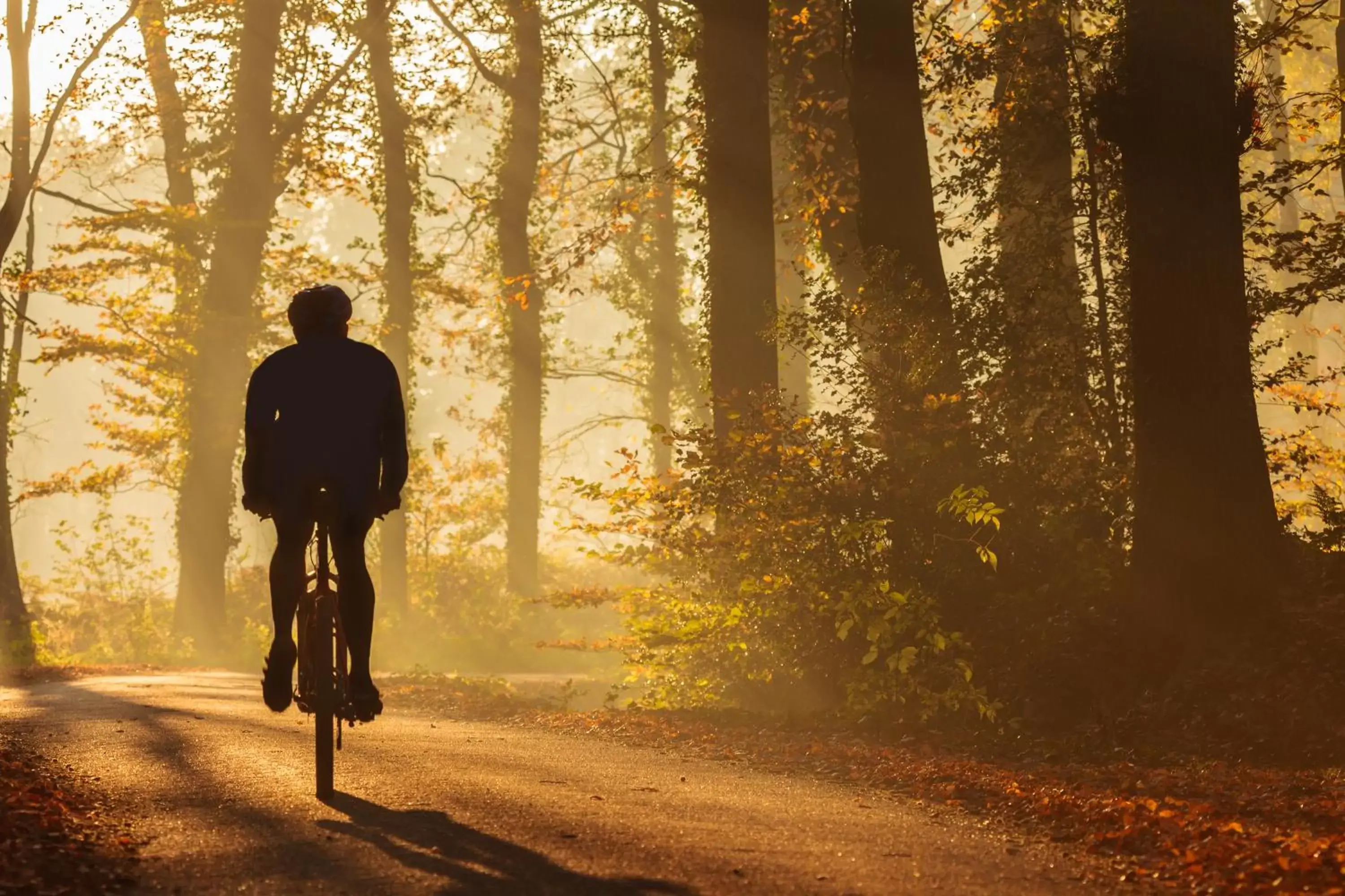 Cycling in Van der Valk Theaterhotel Almelo