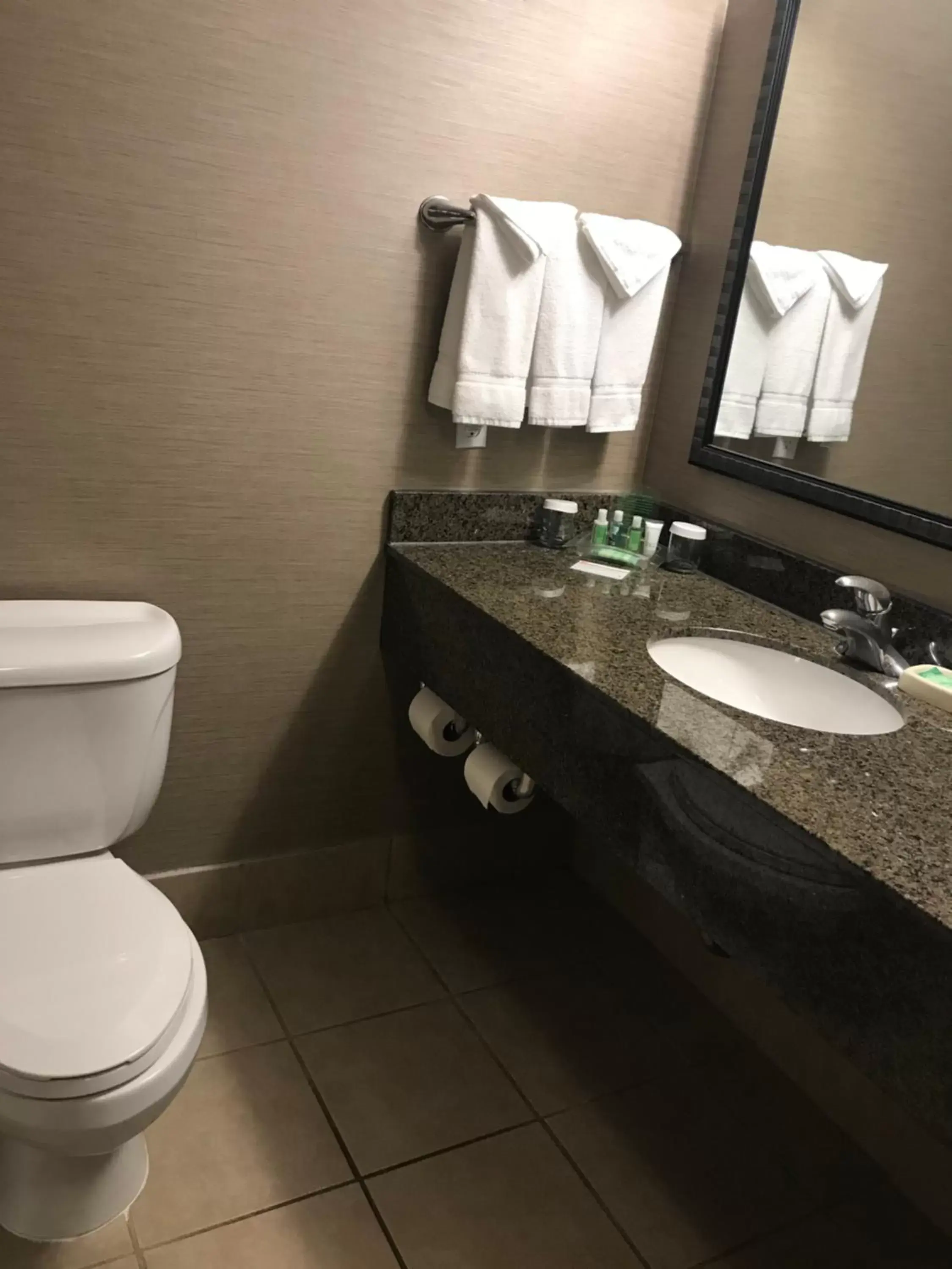 Bathroom in Holiday Inn Hotel and Suites Albuquerque - North Interstate 25, an IHG Hotel