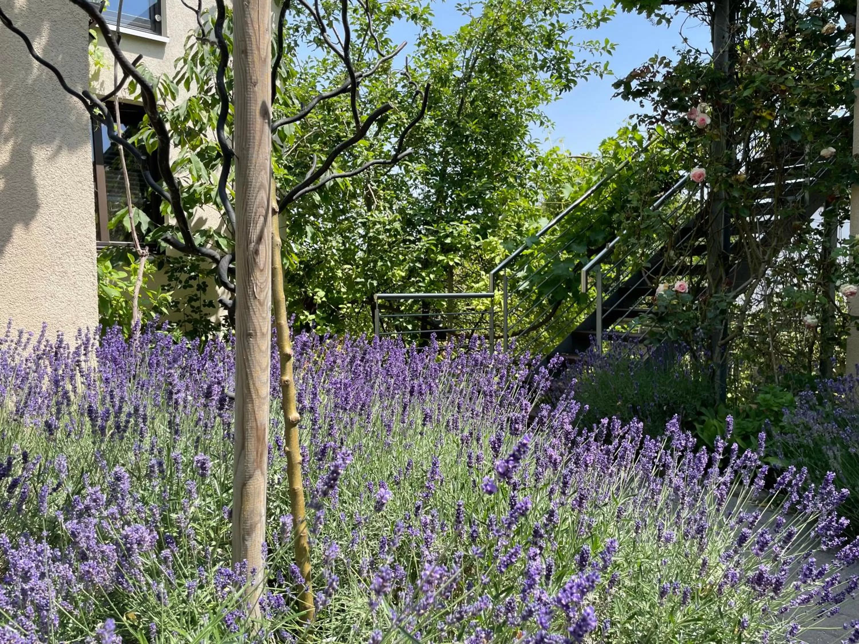 Patio in Jugendstil-Hof