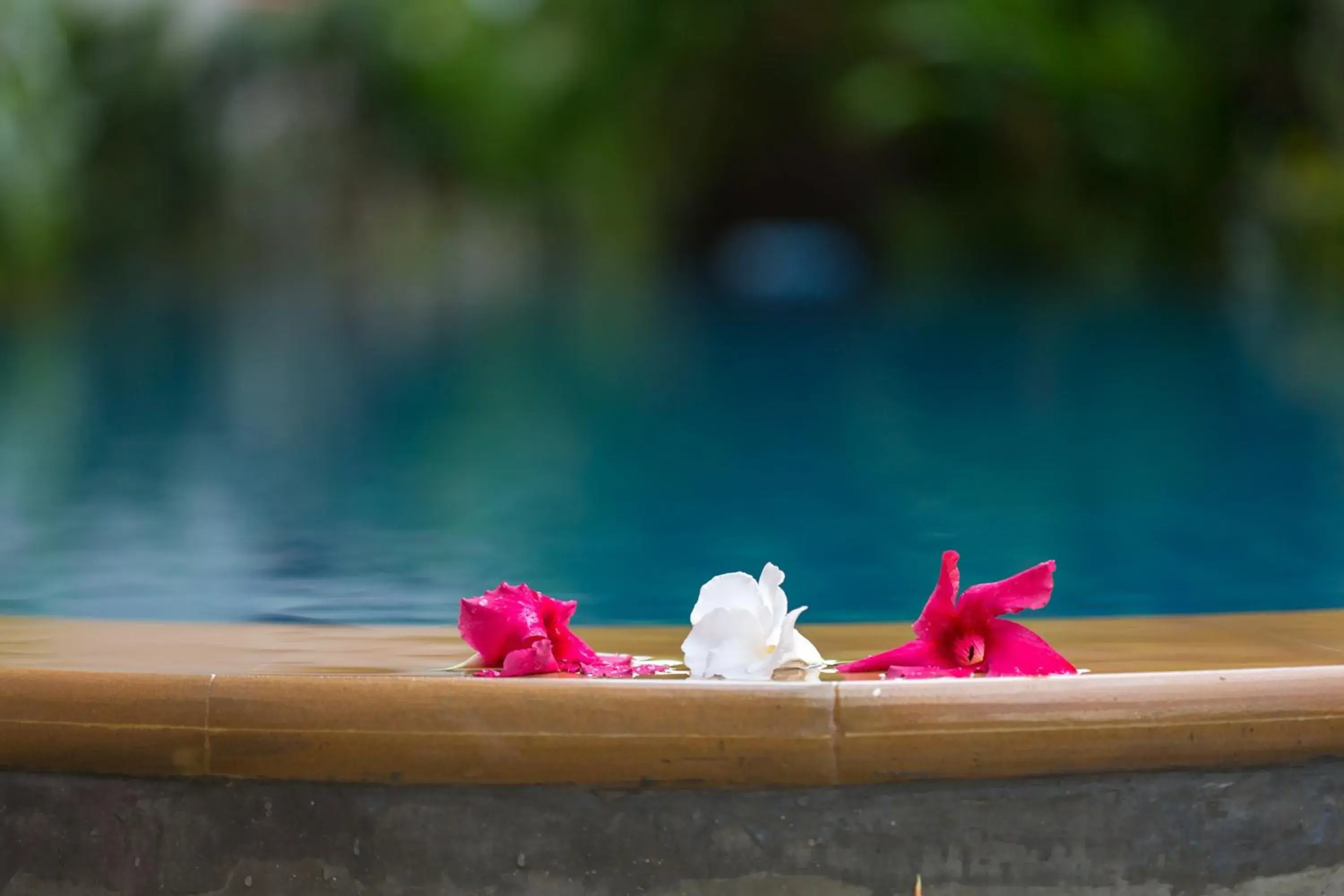 Swimming pool in Chiang Mai Waroros Boutique Hotel Swimming pool in Chiang Mai Waroros Boutique Hotel