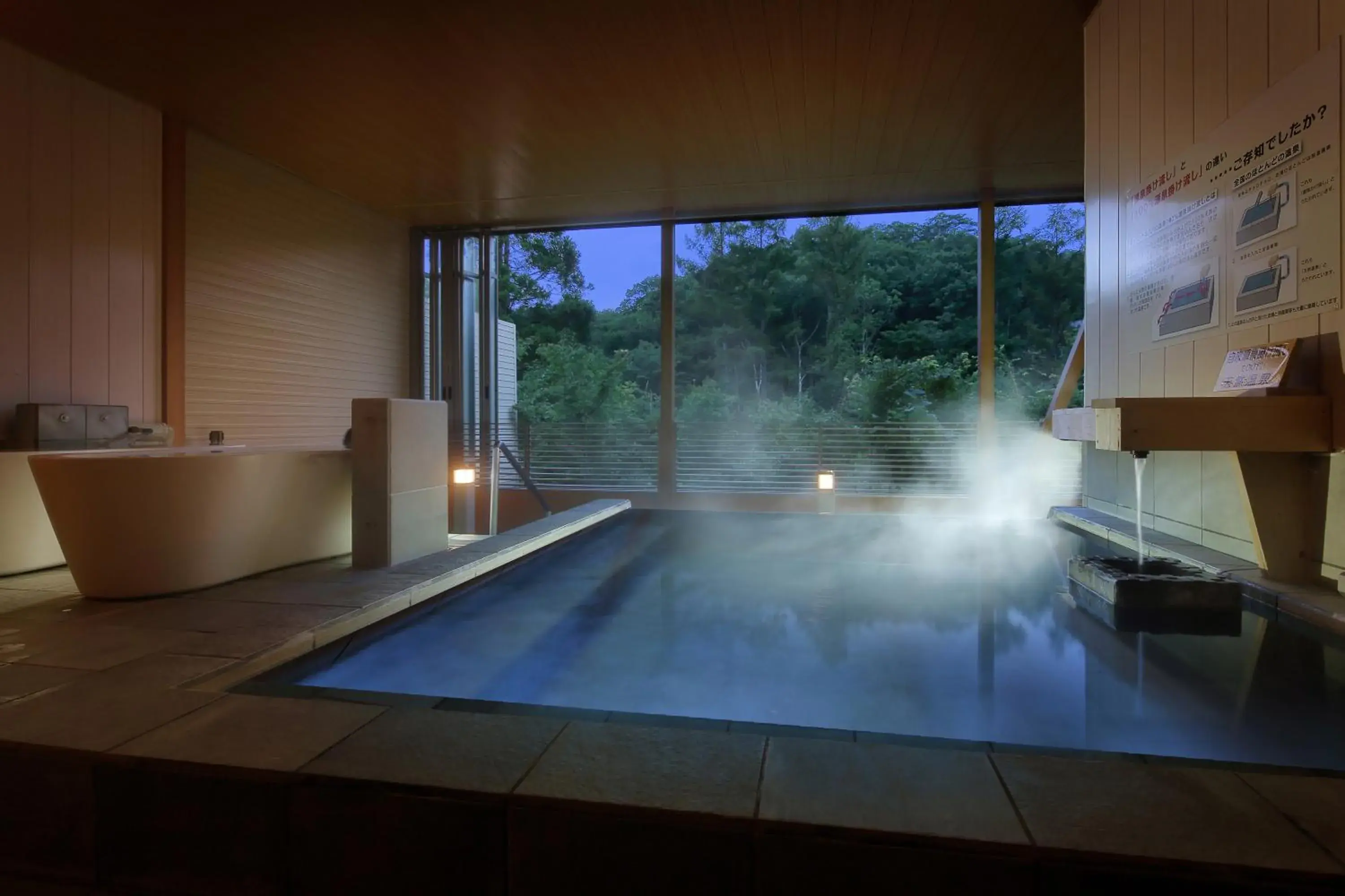 Hot Spring Bath, Swimming Pool in Hotel Ryu Resort and Spa
