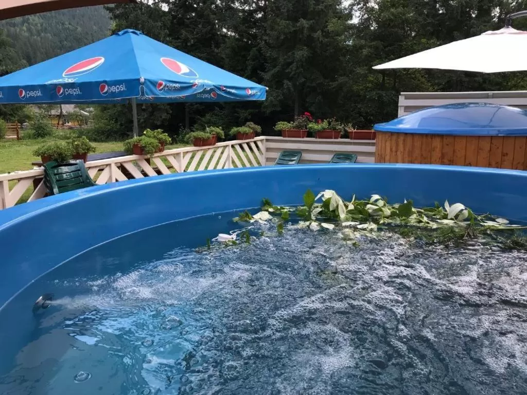 Swimming Pool in Olga Hotel SPA