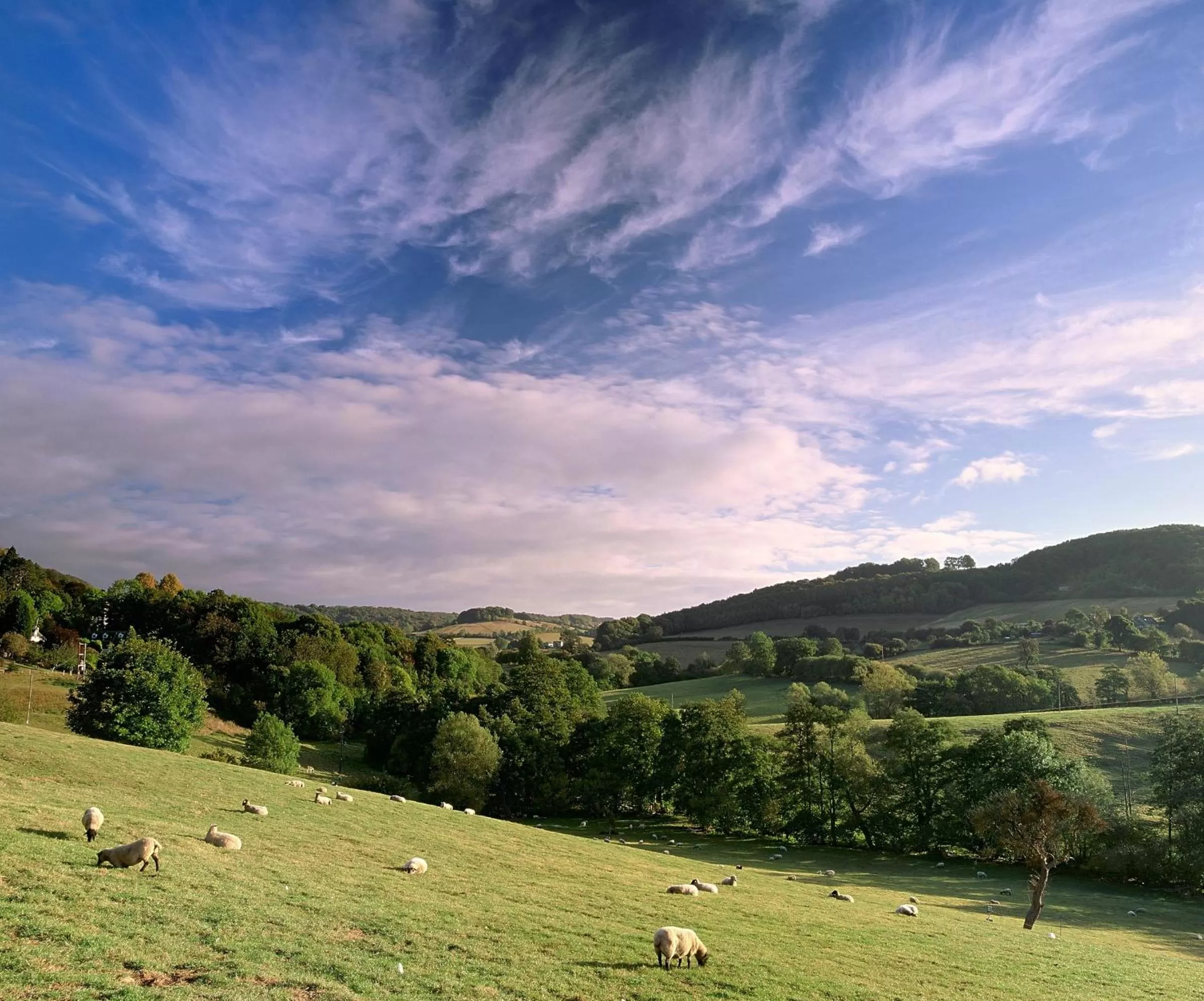 Neighbourhood in Three Ways House Hotel