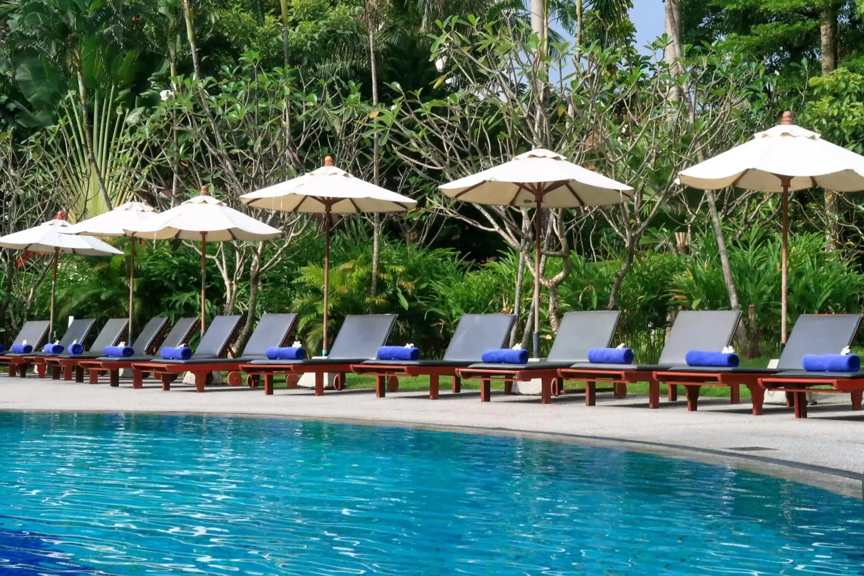 Swimming Pool in Deevana Patong Resort & Spa - SHA Extra Plus