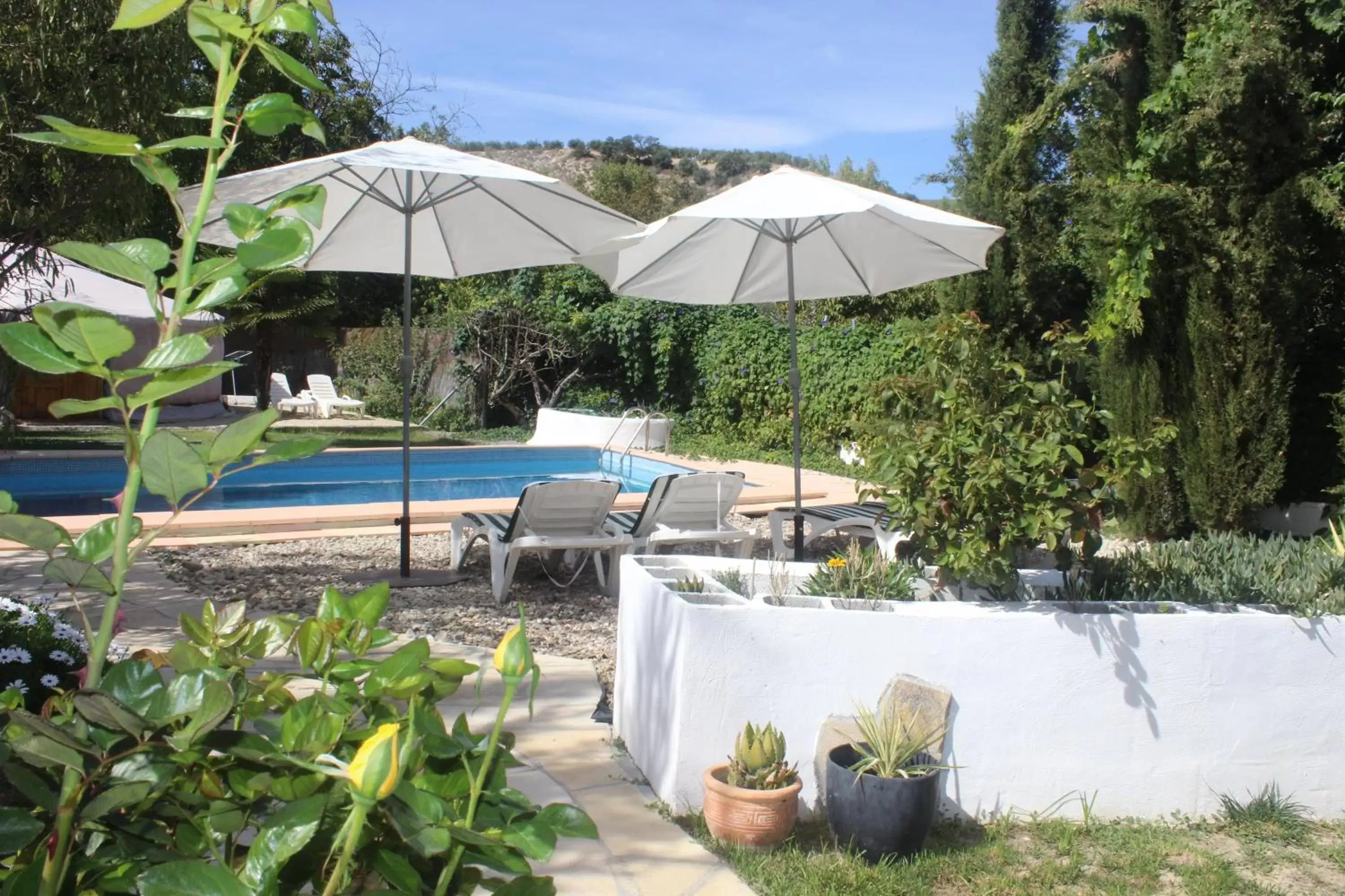 Garden, Swimming Pool in Casa La Nuez