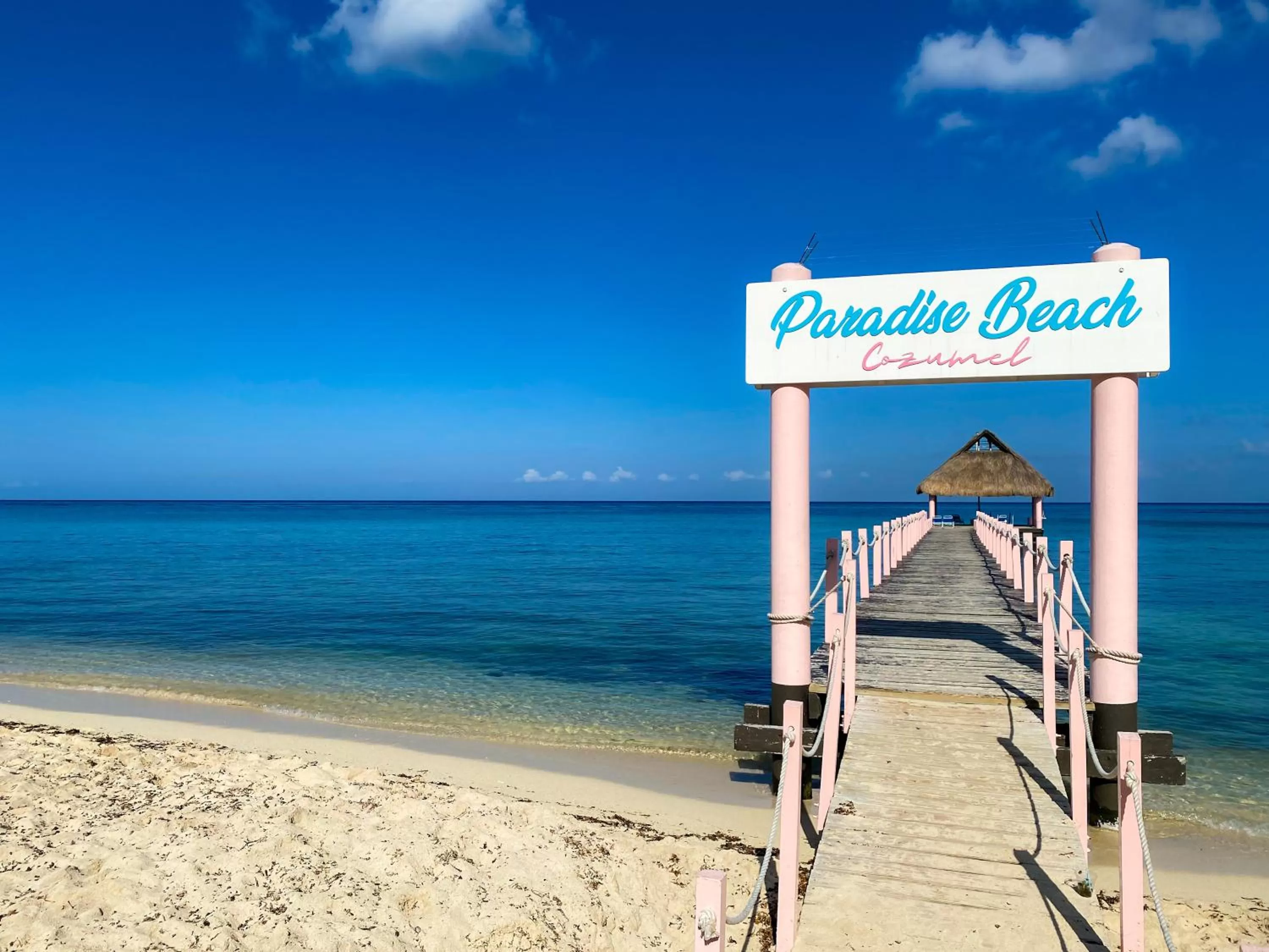 Natural landscape in Maia Suites Cozumel