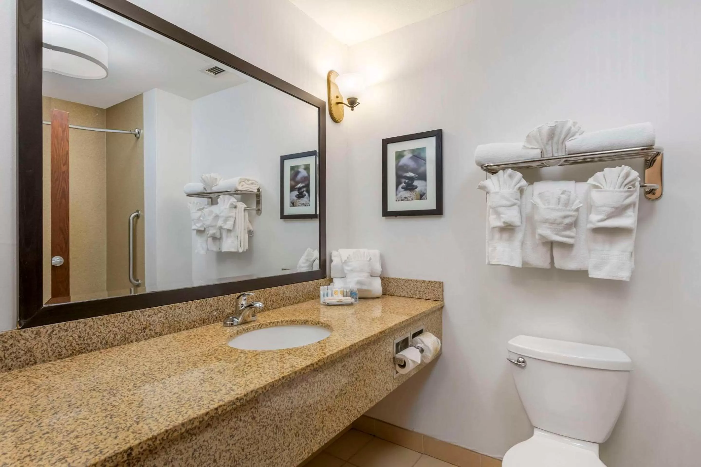 Bedroom in Comfort Suites Conference Center Rapid City